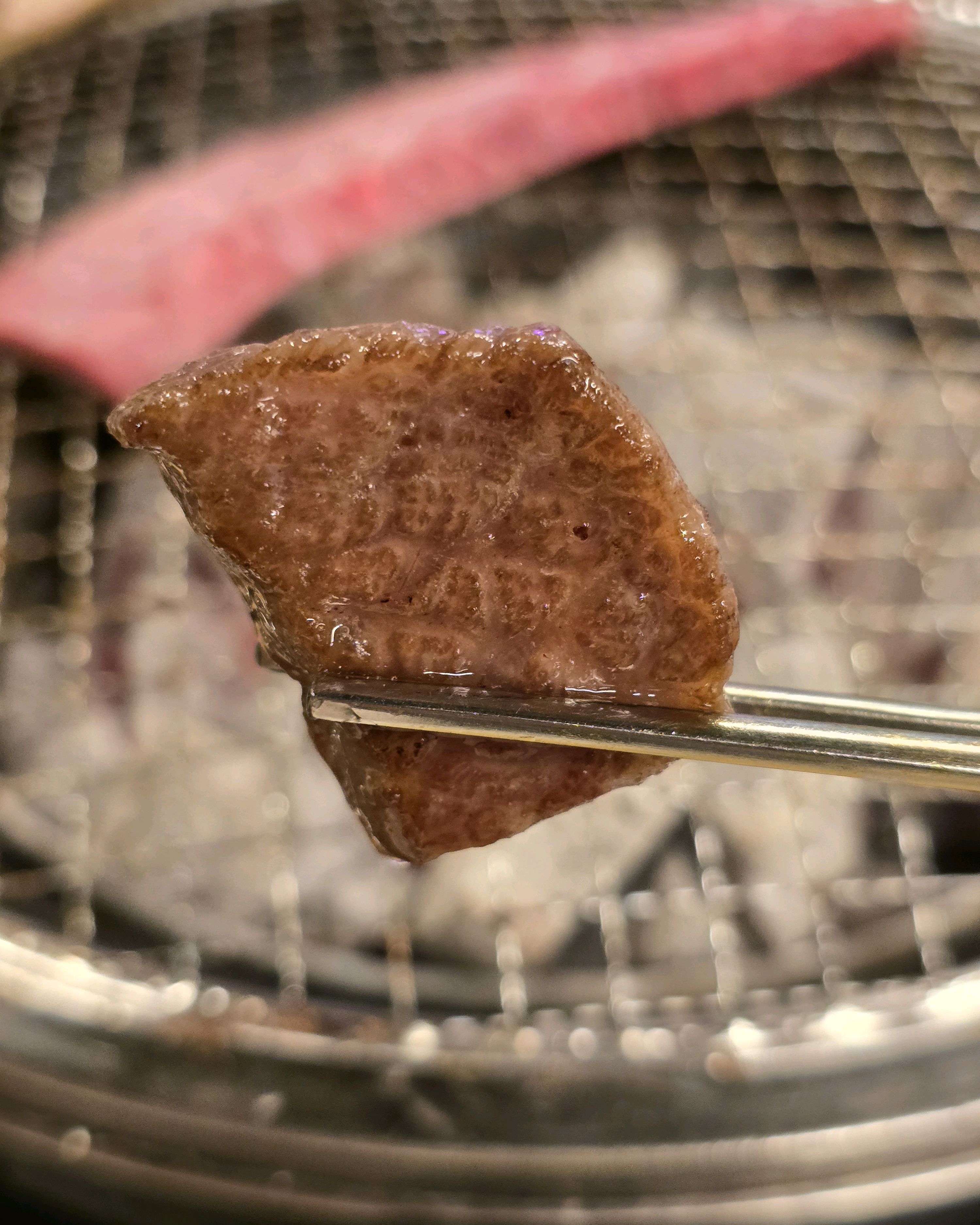 [하이원 맛집 650우화정] 직접 가본 로컬 리뷰