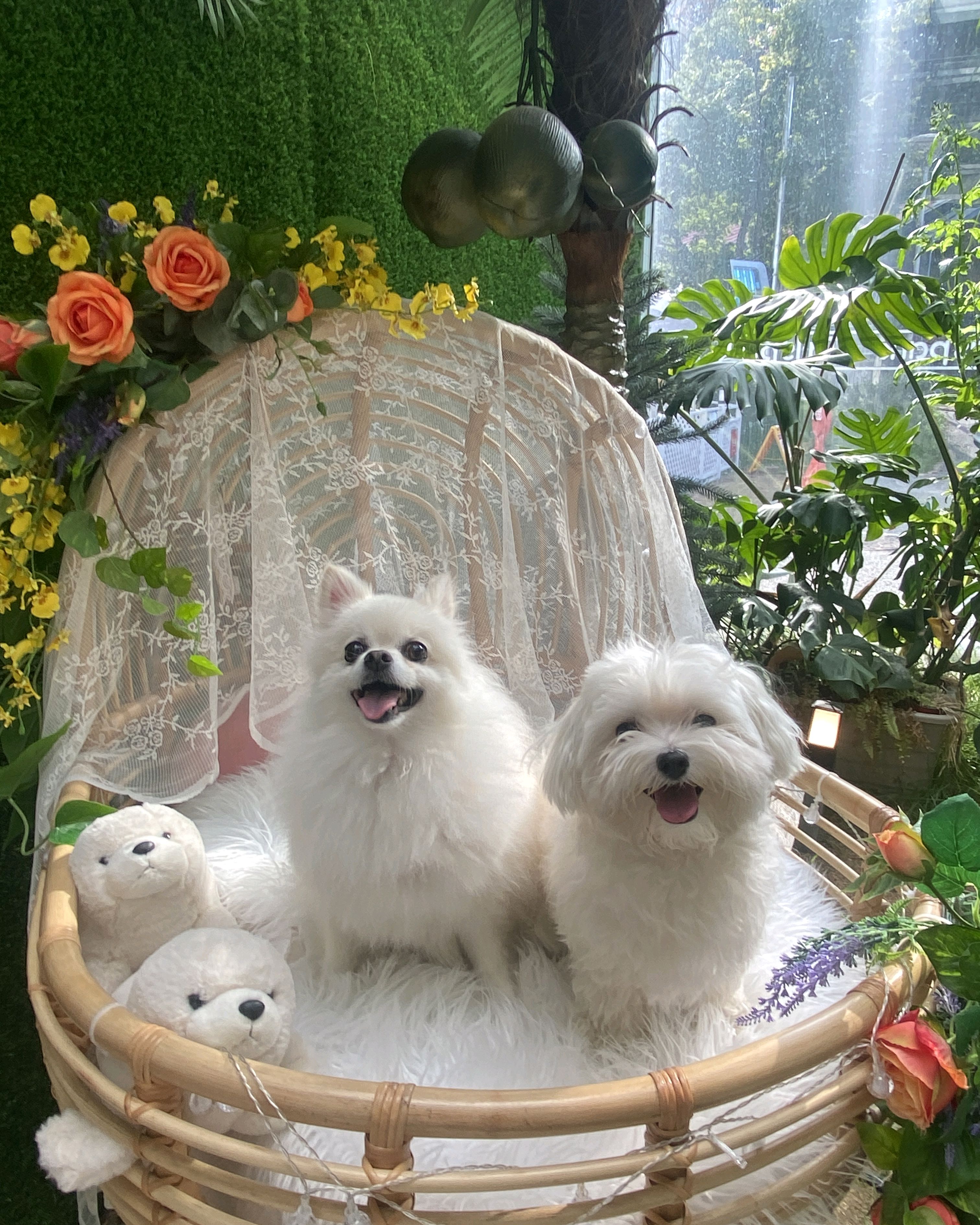 리뷰 사진 1