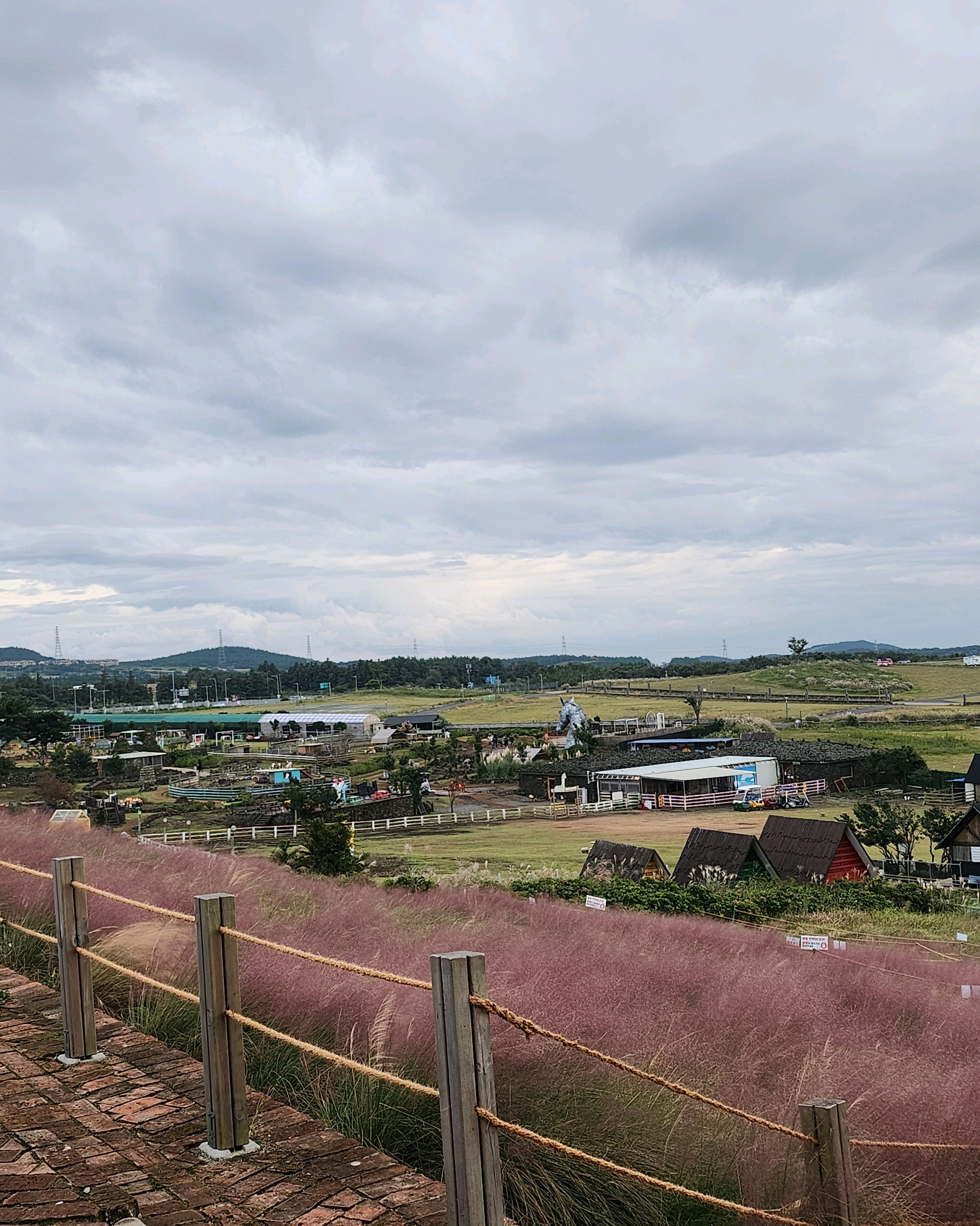 [제주도 애월 맛집 새빌] 직접 가본 로컬 리뷰