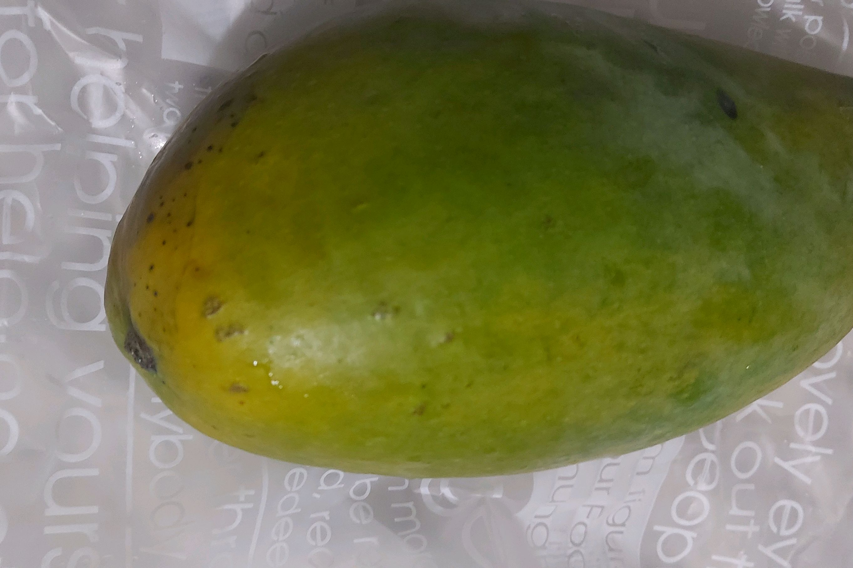 [강릉 맛집 회산장칼국수] 직접 가본 로컬 리뷰