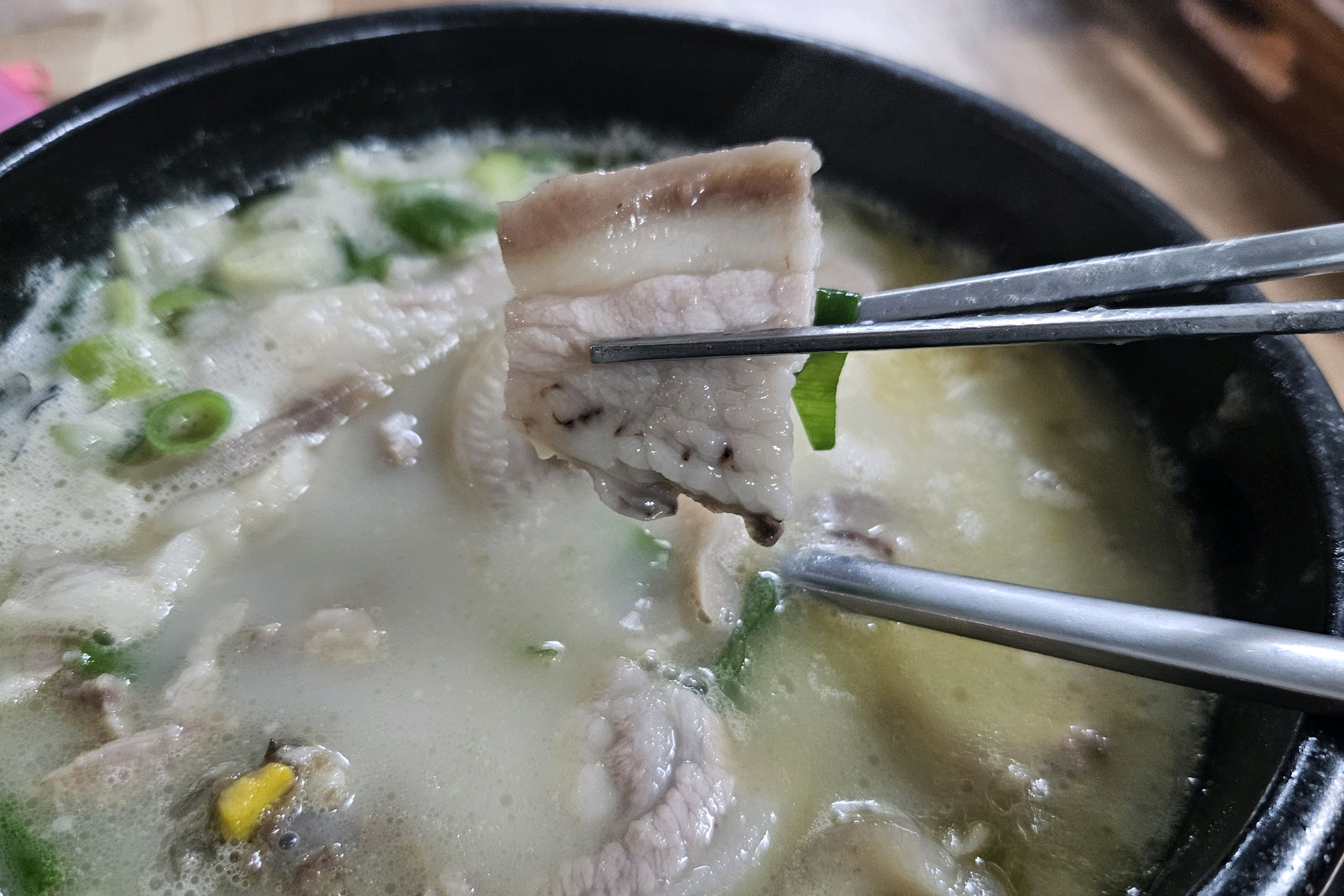[하이원 맛집 보문식당] 직접 가본 로컬 리뷰