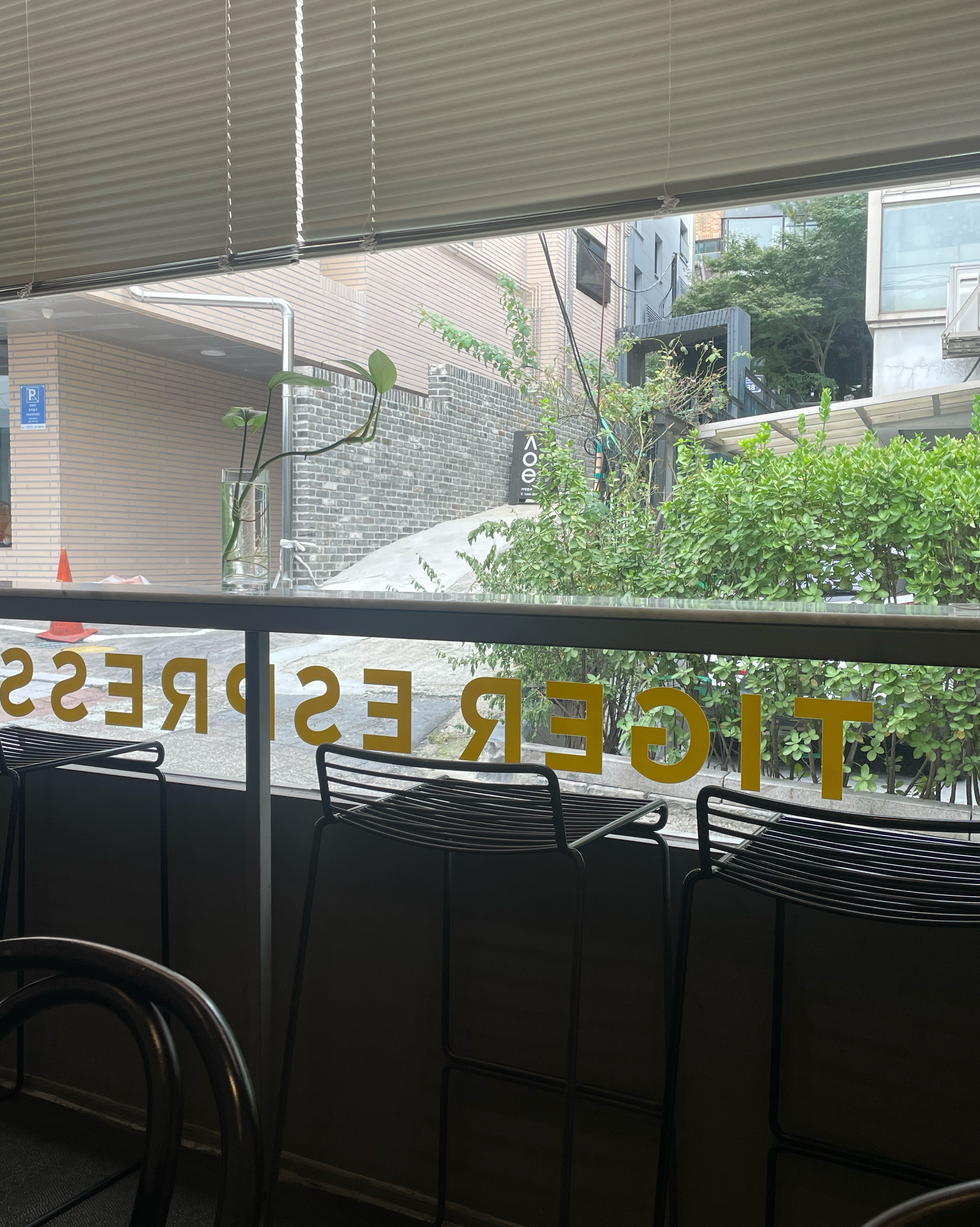 [경리단길 맛집 타이거에스프레소] 직접 가본 로컬 리뷰