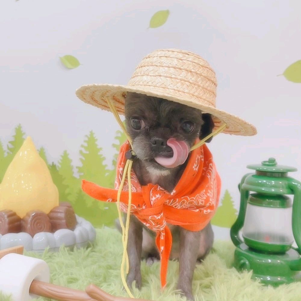 리뷰 사진 2