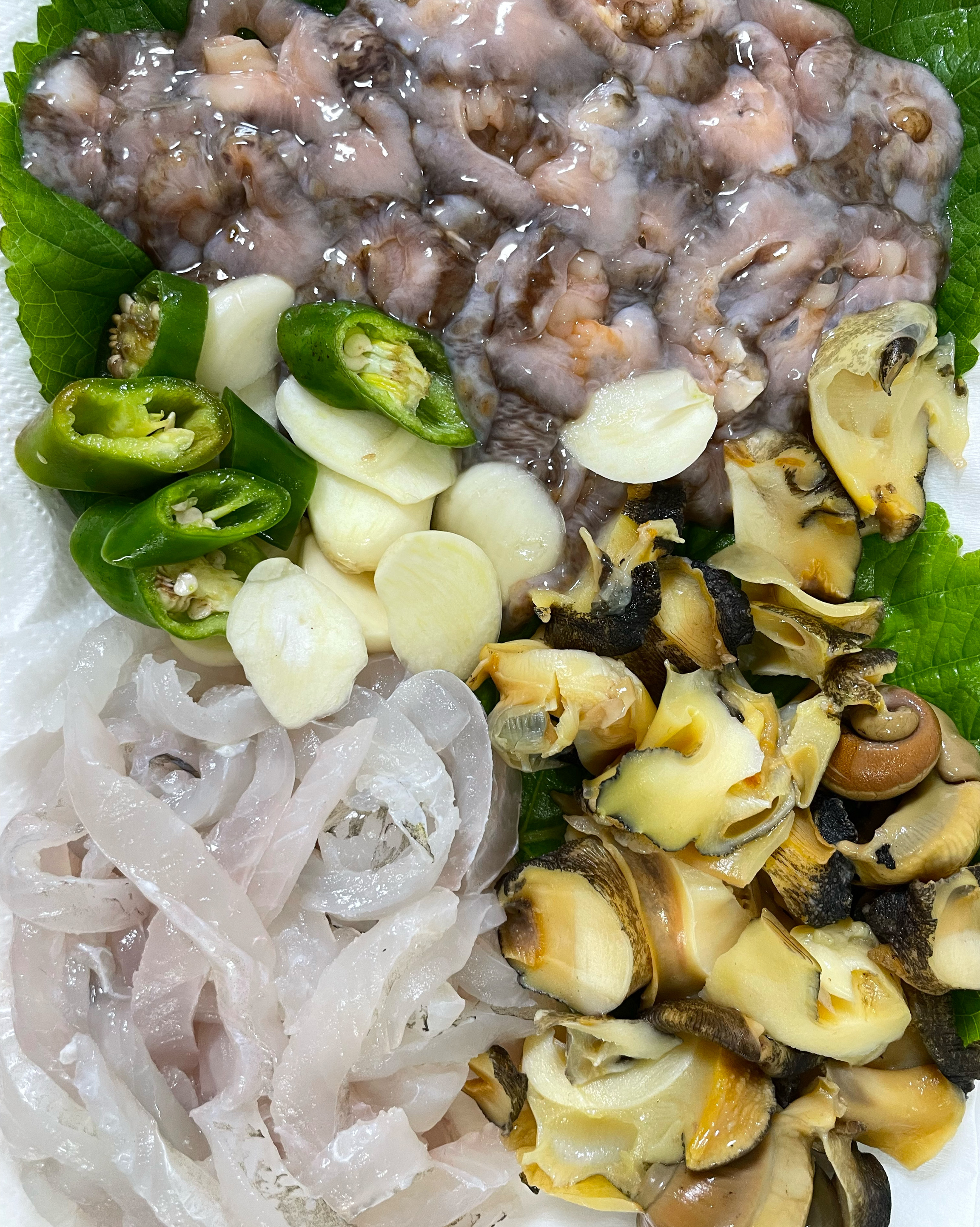 [삼척 맛집 금강산횟집] 직접 가본 로컬 리뷰