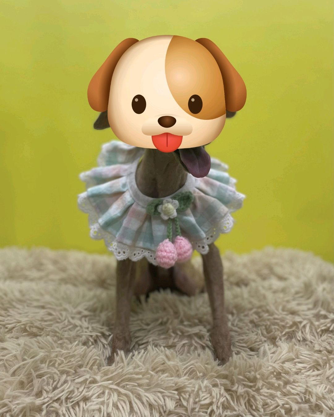 해맑은 동물병원 사진 2