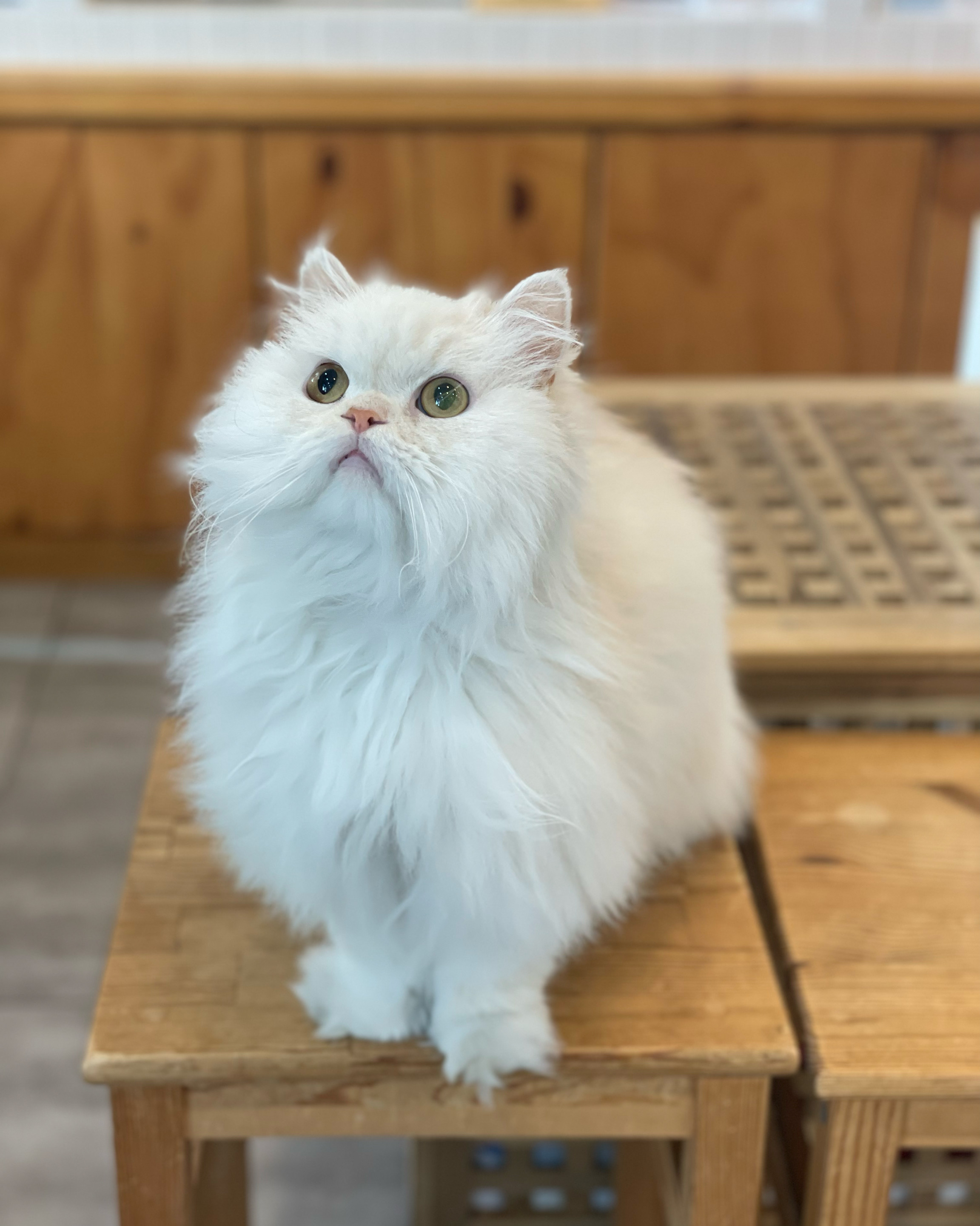 리뷰 사진 1