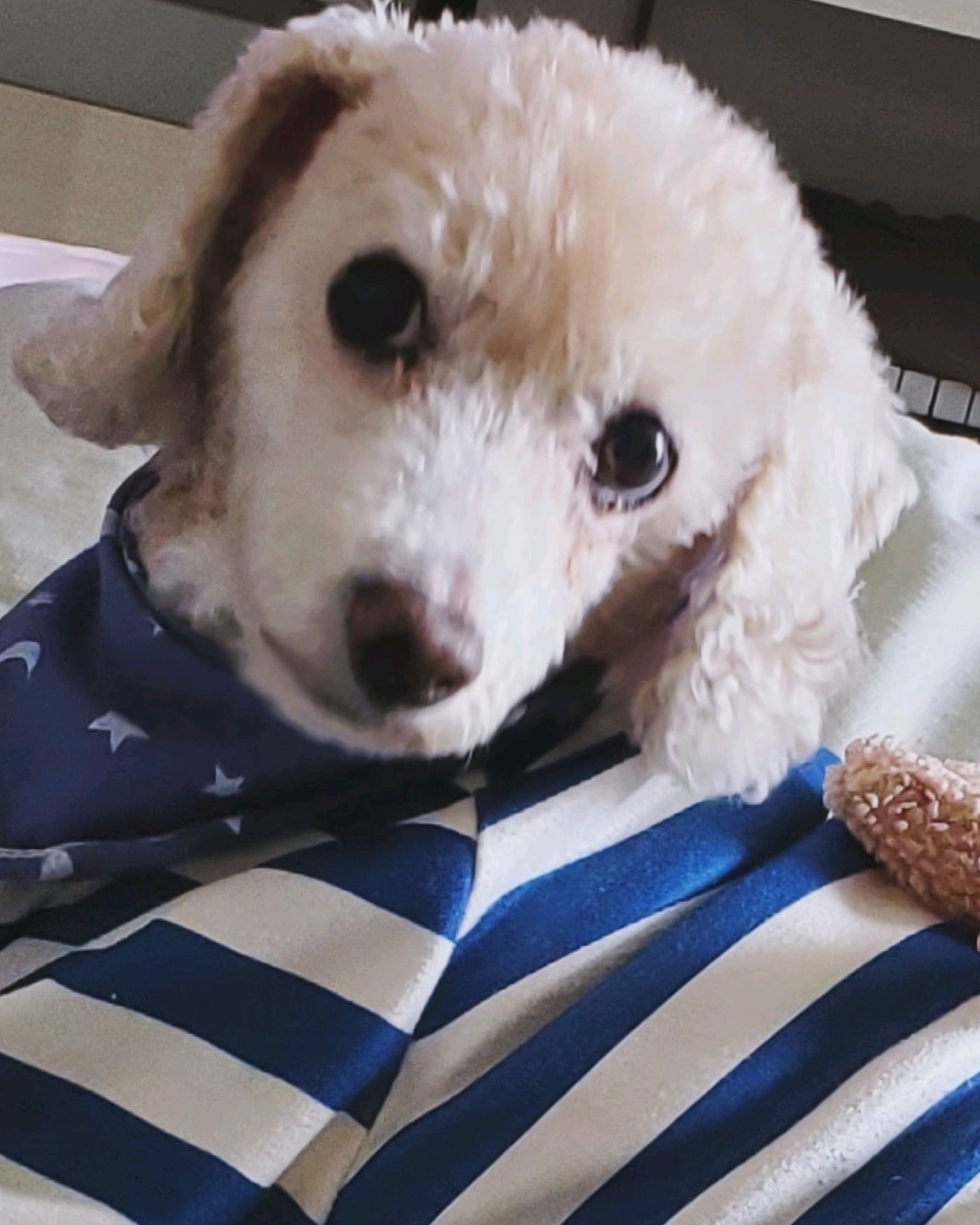 리뷰 사진 3