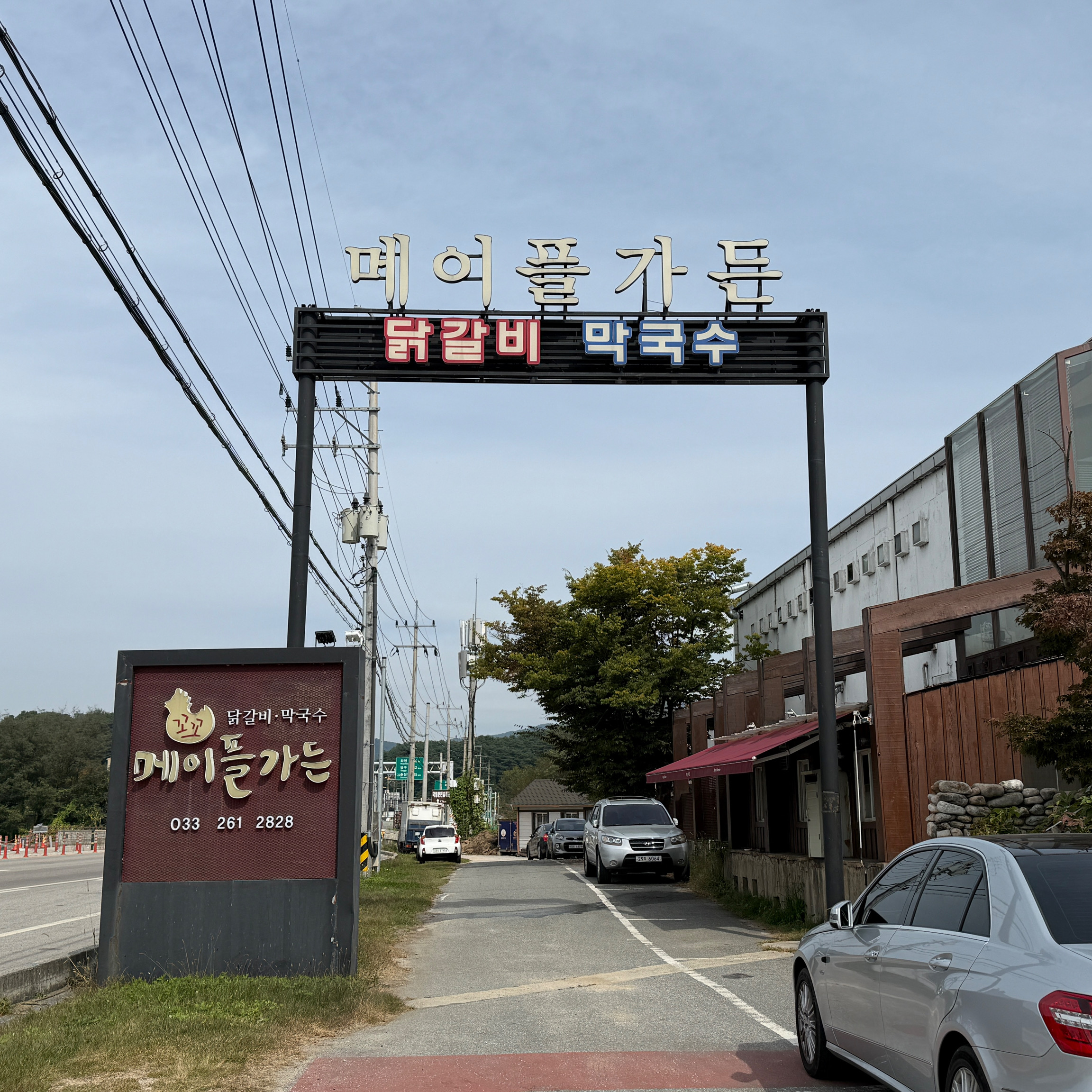 [춘천 맛집 메이플가든 닭갈비] 직접 가본 로컬 리뷰