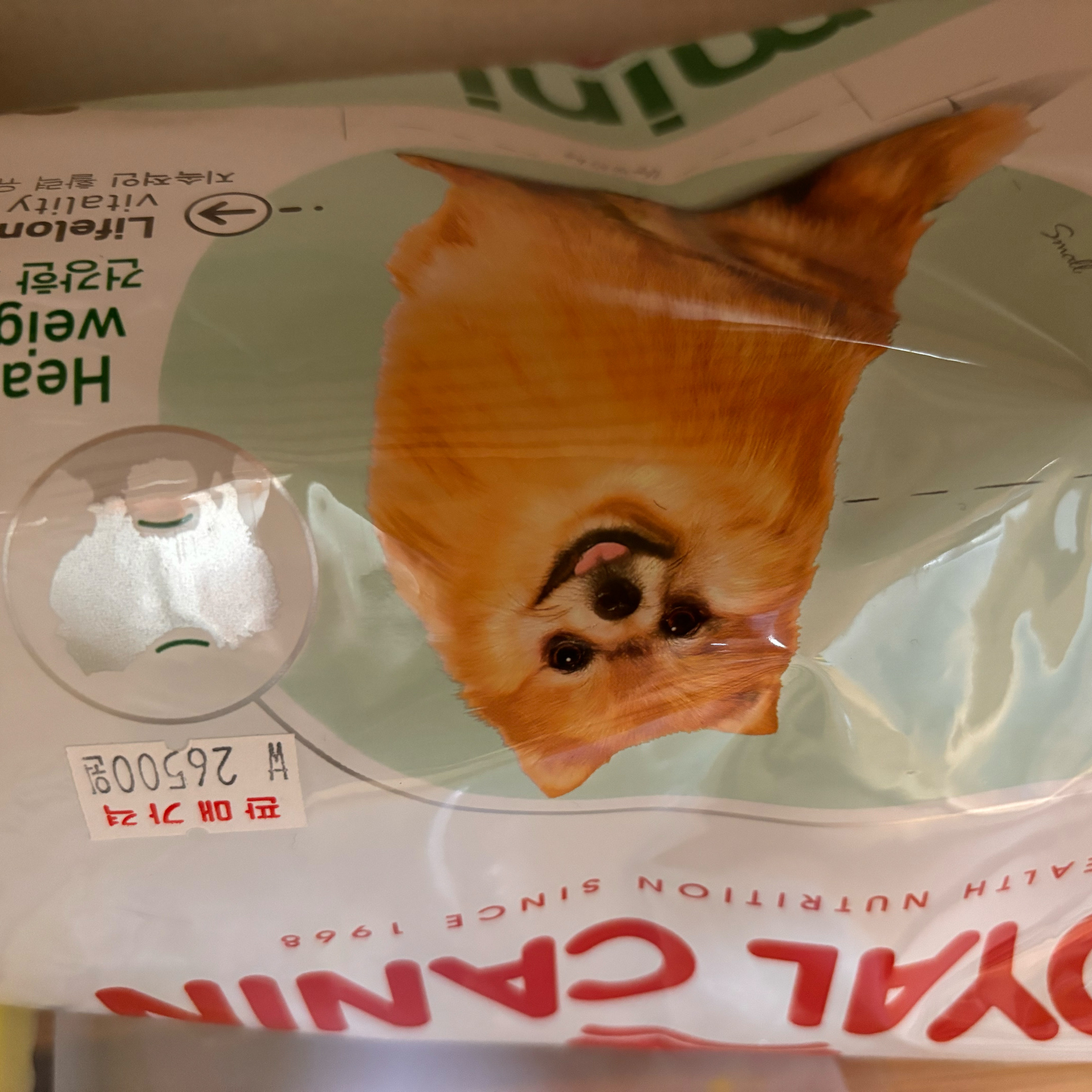 리뷰 사진 1