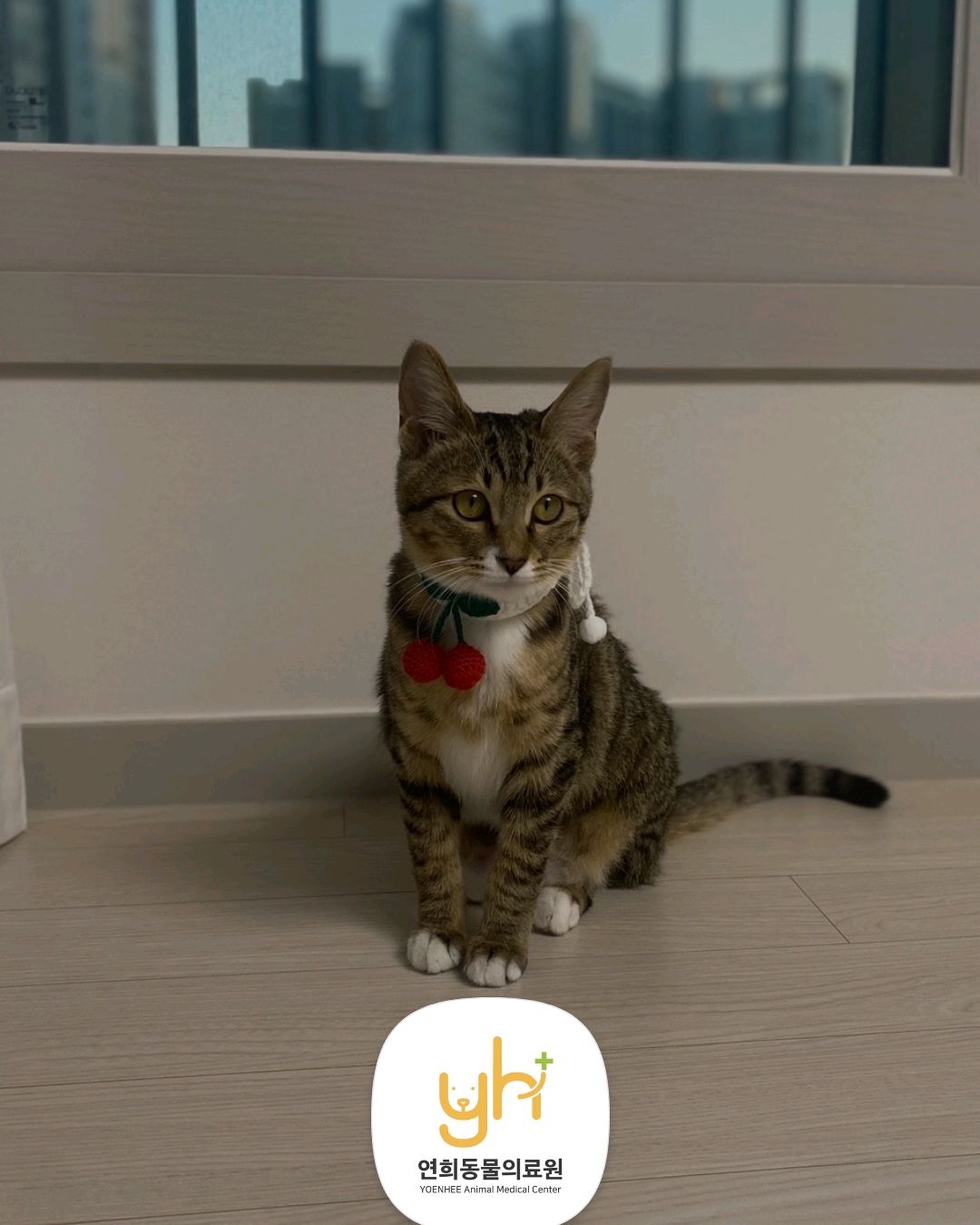 리뷰 사진 2