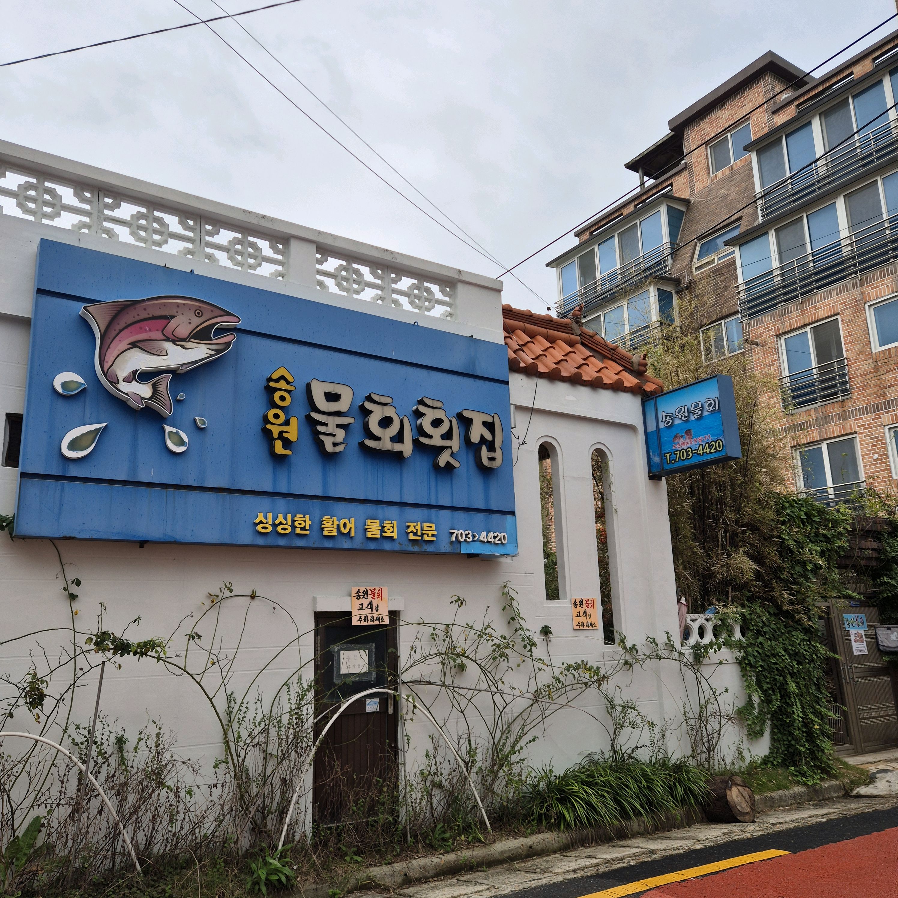 물회가 깔끔하고 고소한 맛이 나요 !!  무엇보다 내부가 너무 깔끔하게 잘 관리되고 있는 