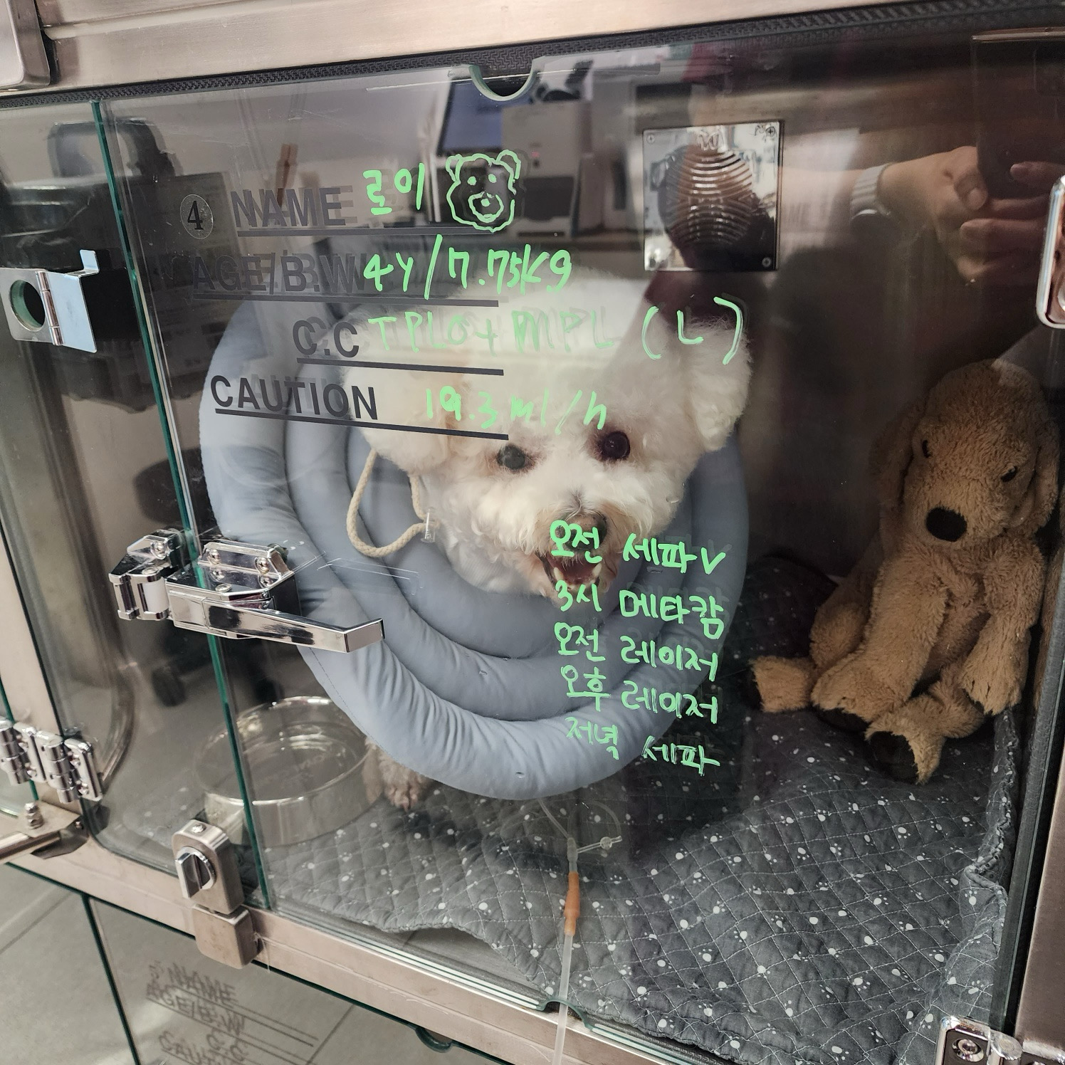 리뷰 사진 1