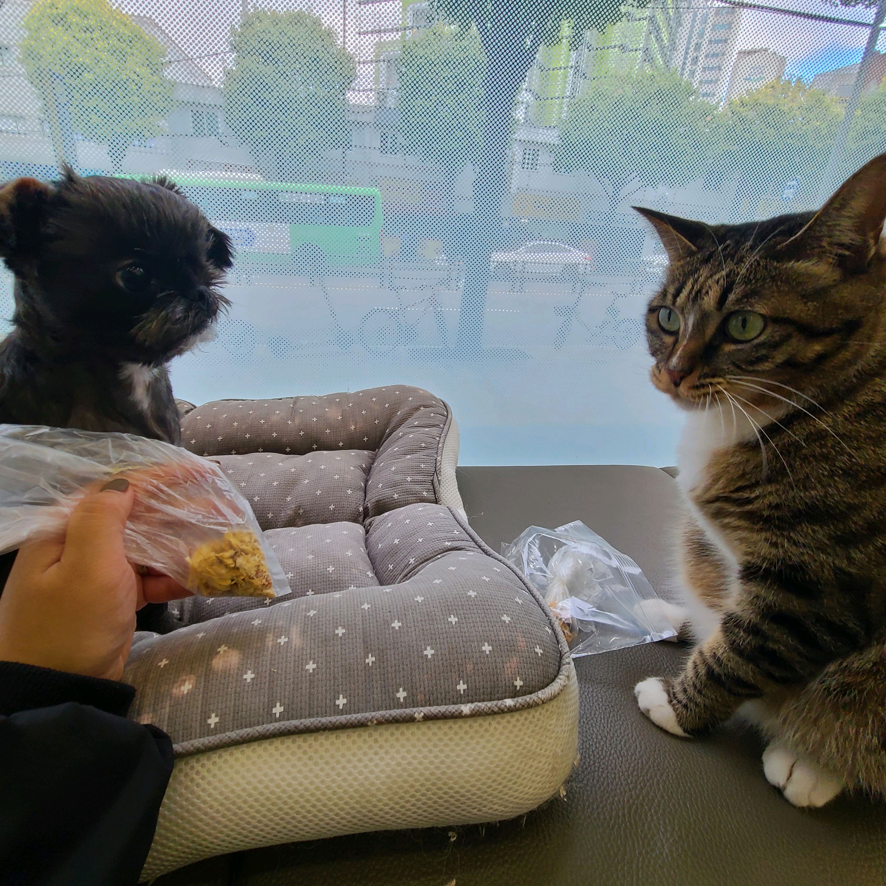 리뷰 사진 1