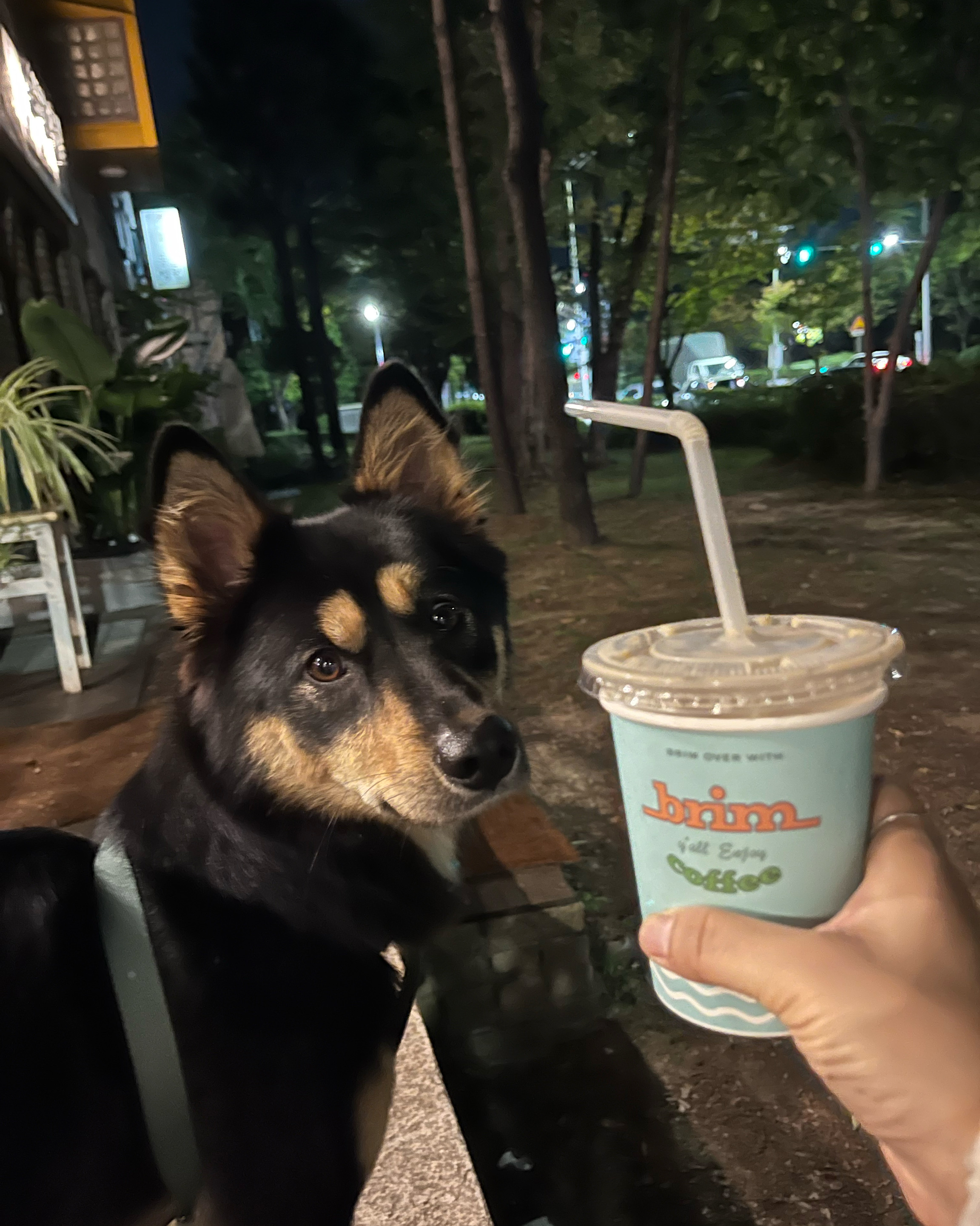 오리역 맛집 브림커피 내돈내산 방문리뷰