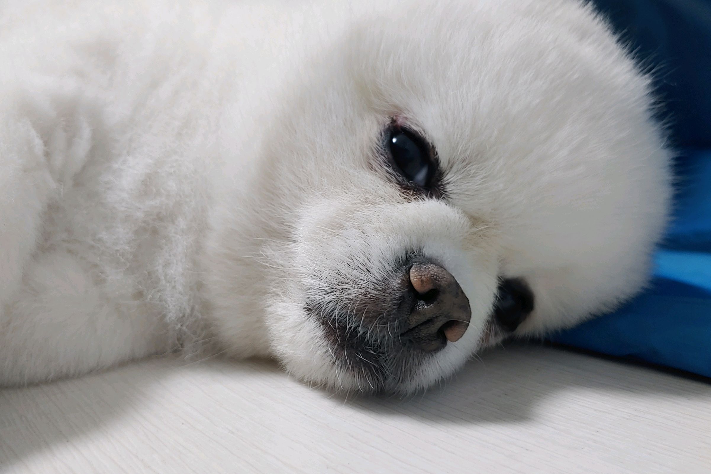 리뷰 사진 3