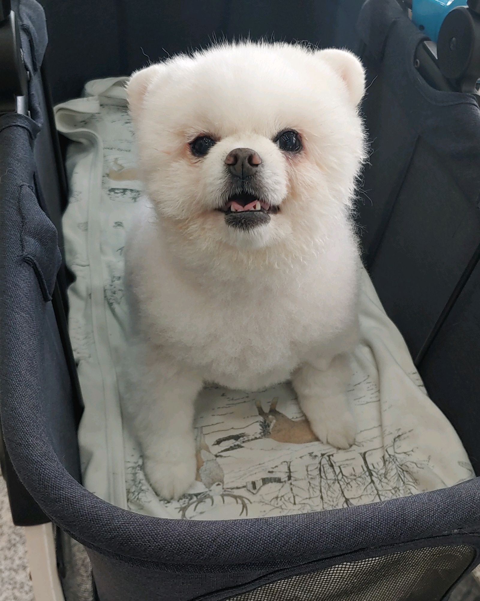 리뷰 사진 2