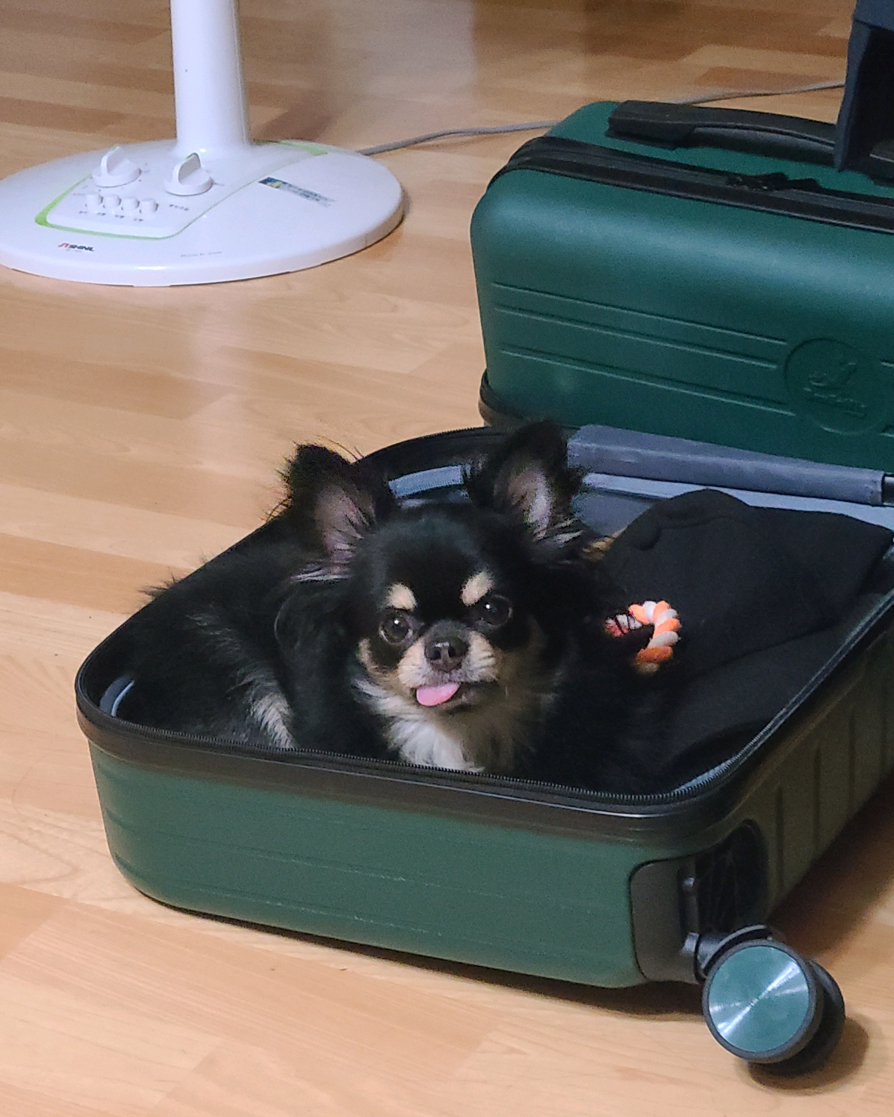 리뷰 사진 1