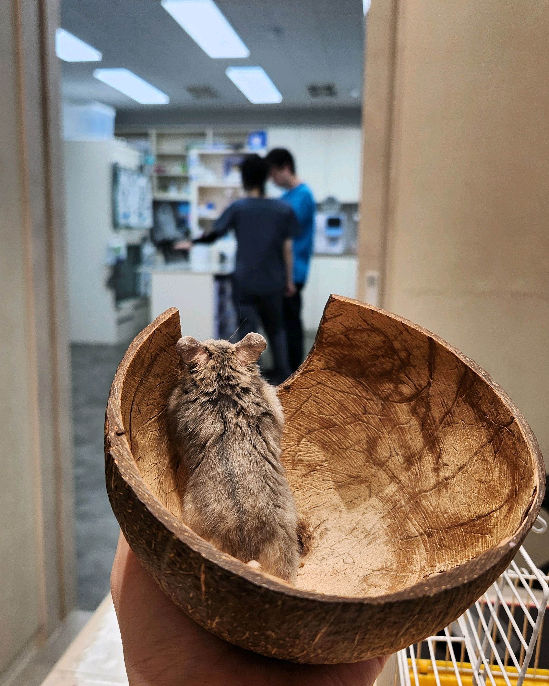 리뷰 사진 1