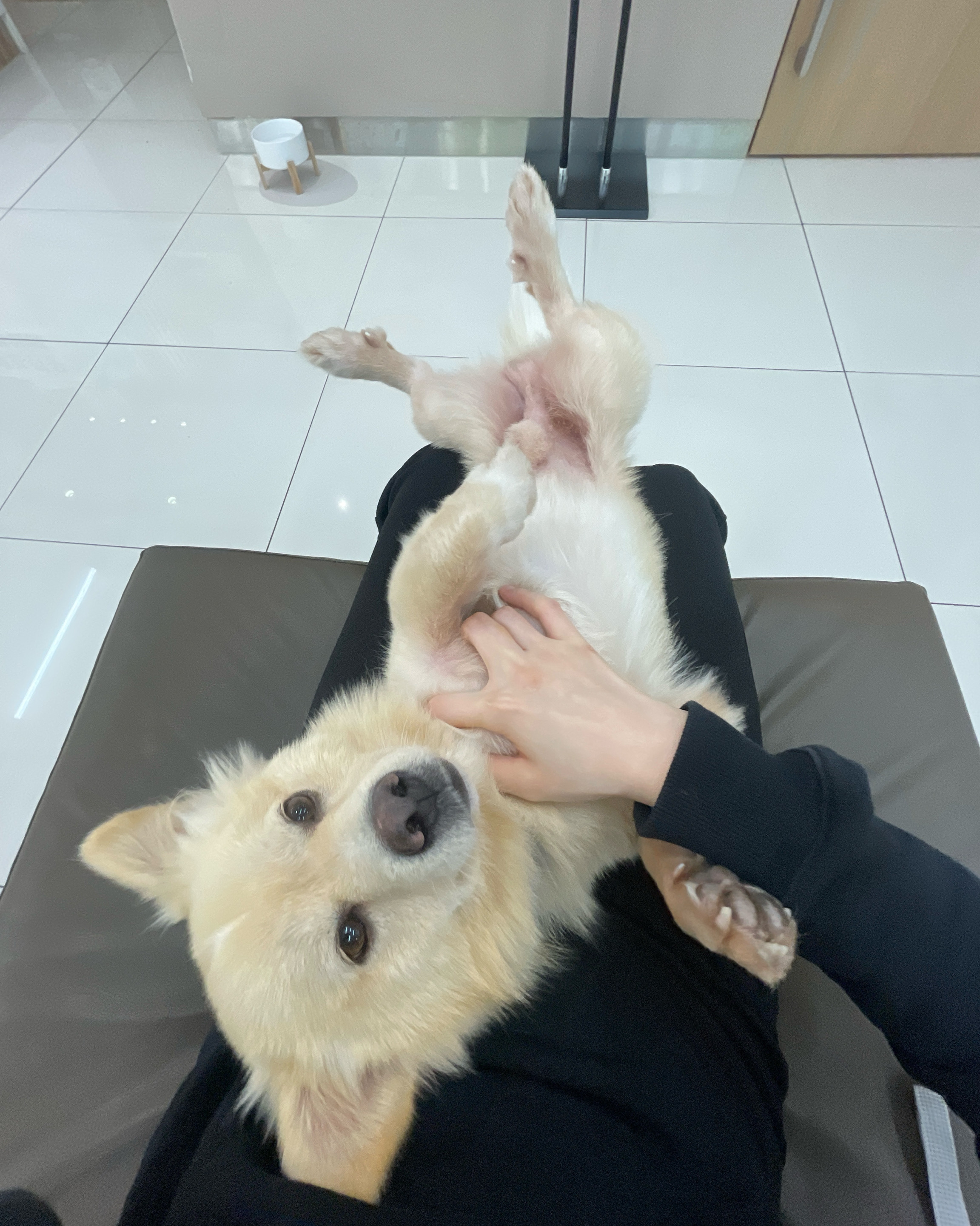리뷰 사진 1