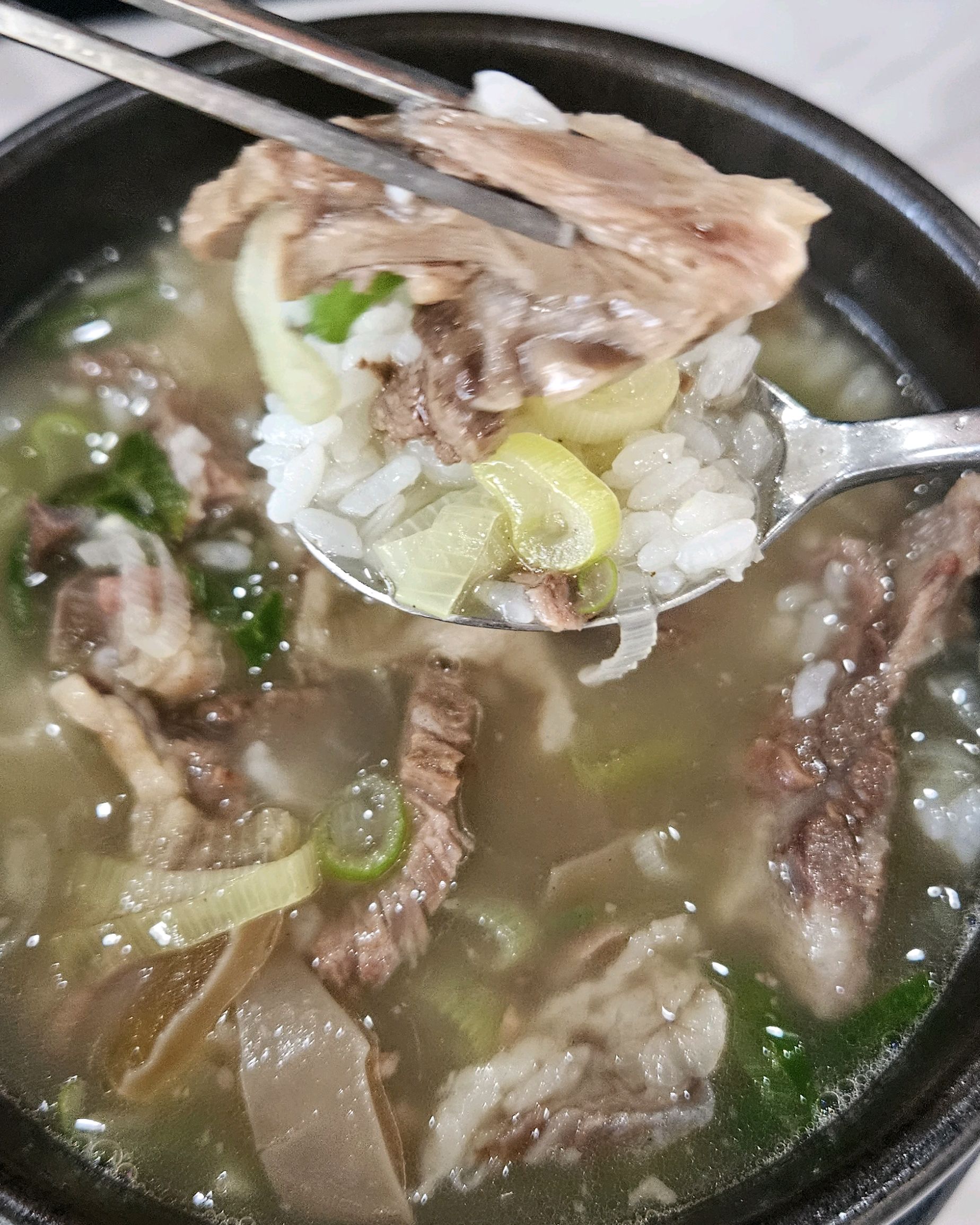 대천 맛집 [더드림한우곰탕] 직접 가본 로컬 리뷰