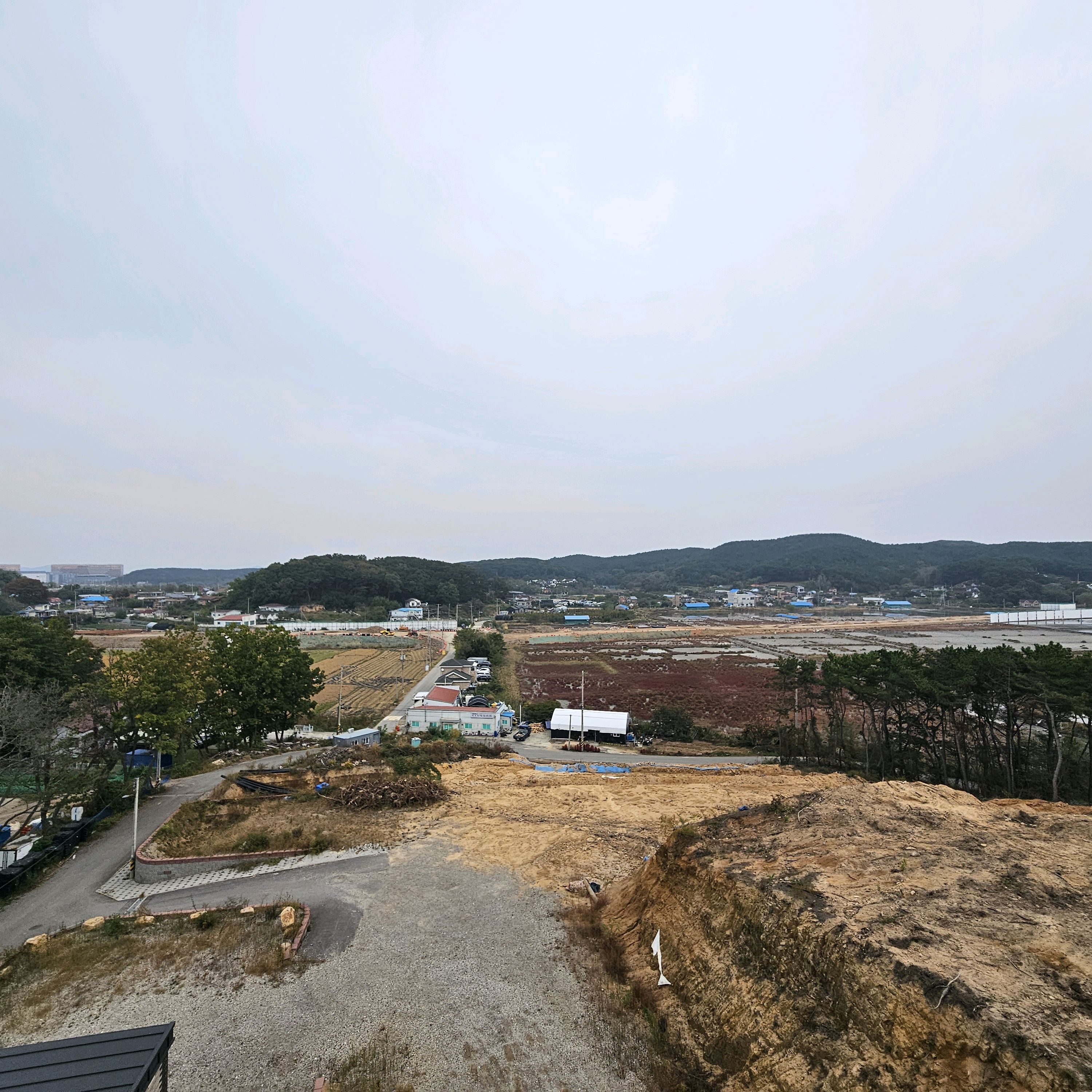 [을왕리 맛집 아울스 커피] 직접 가본 로컬 리뷰