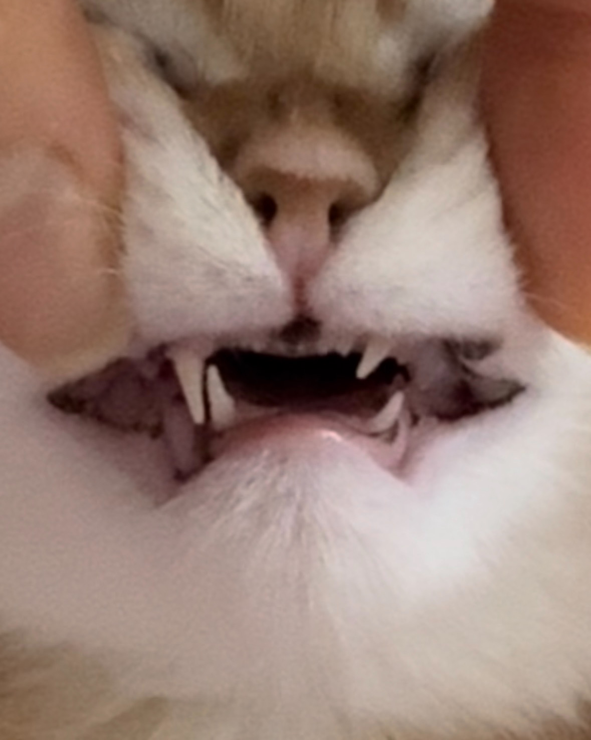 리뷰 사진 1
