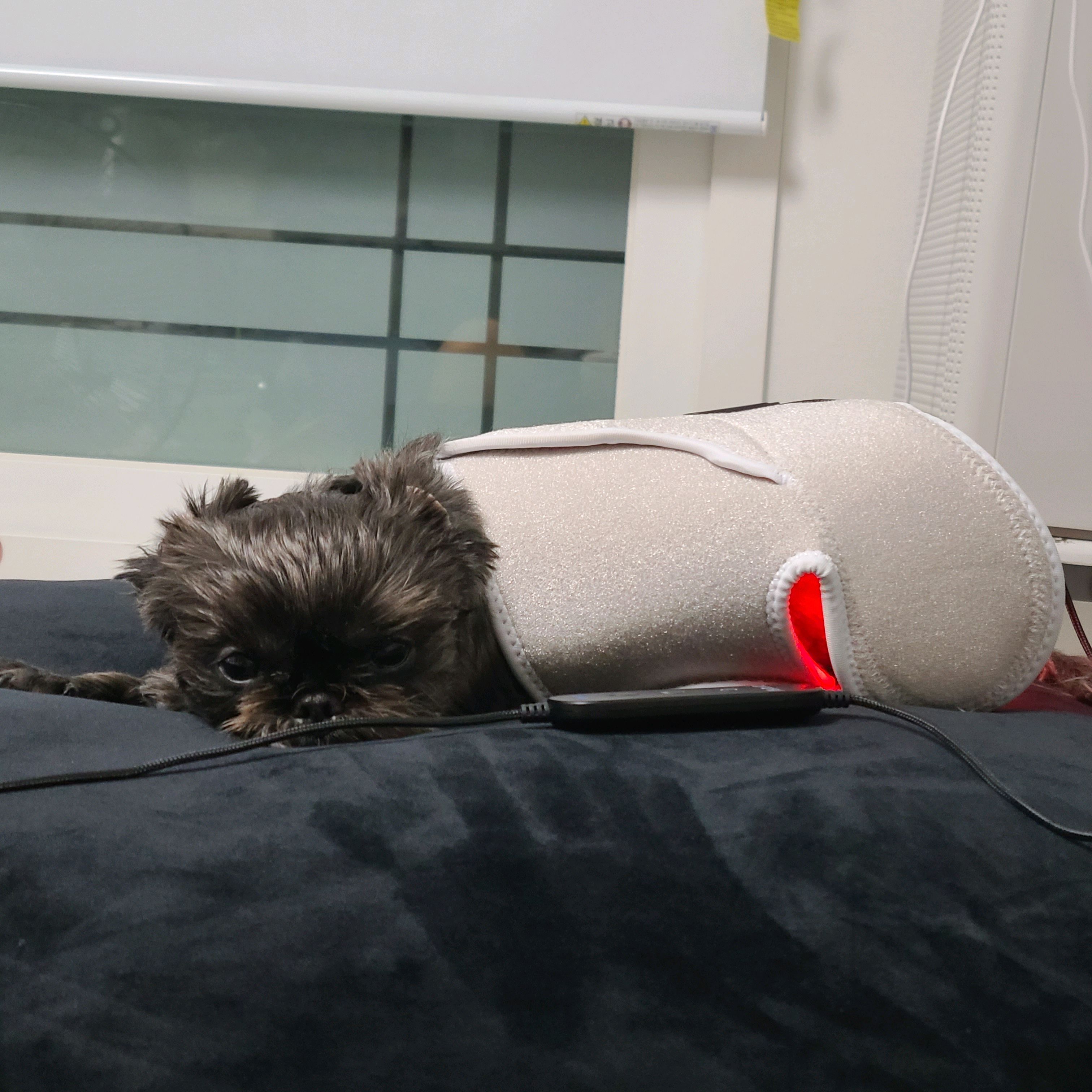 리뷰 사진 2