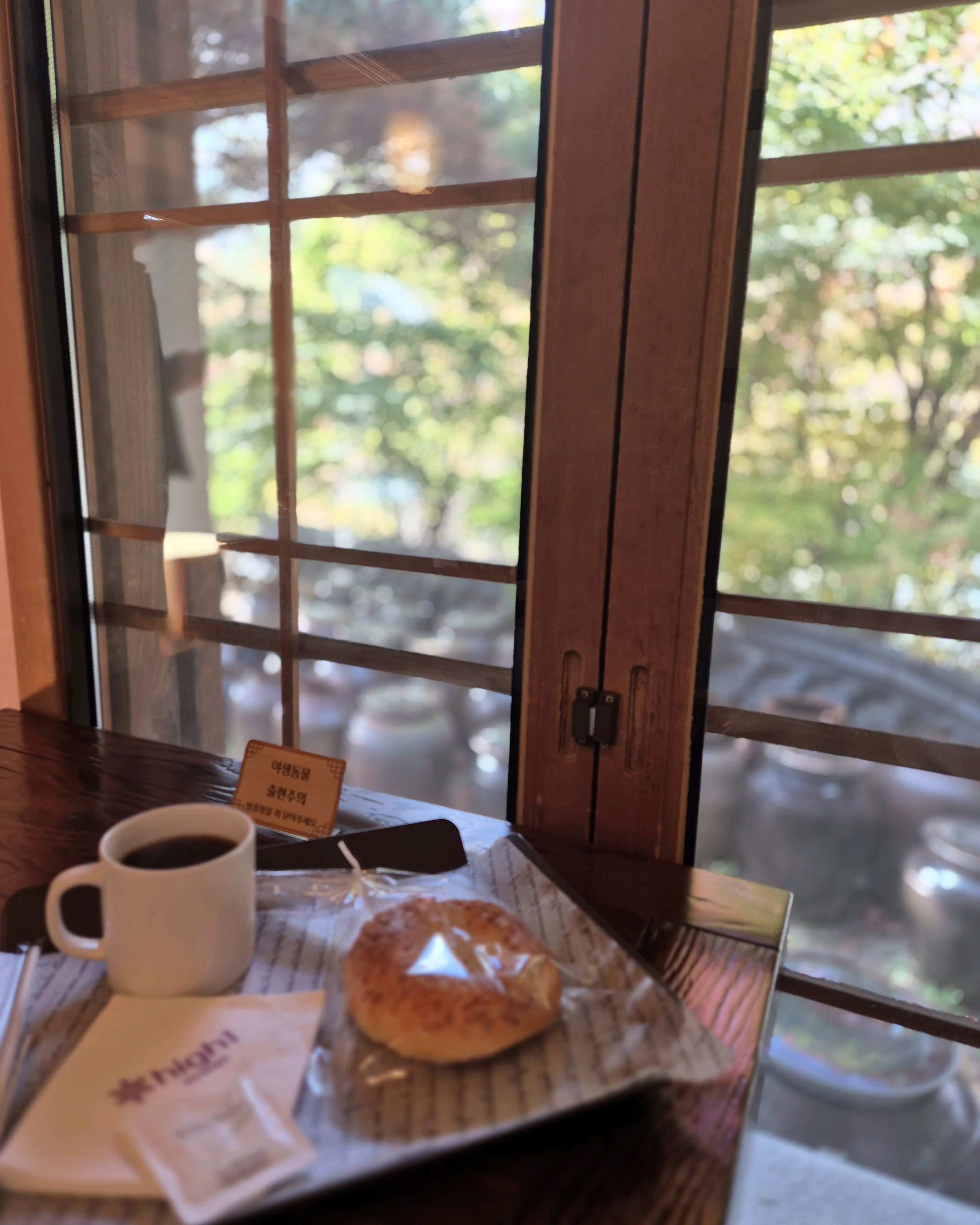 [하이원 맛집 하이원리조트 운암정] 직접 가본 로컬 리뷰