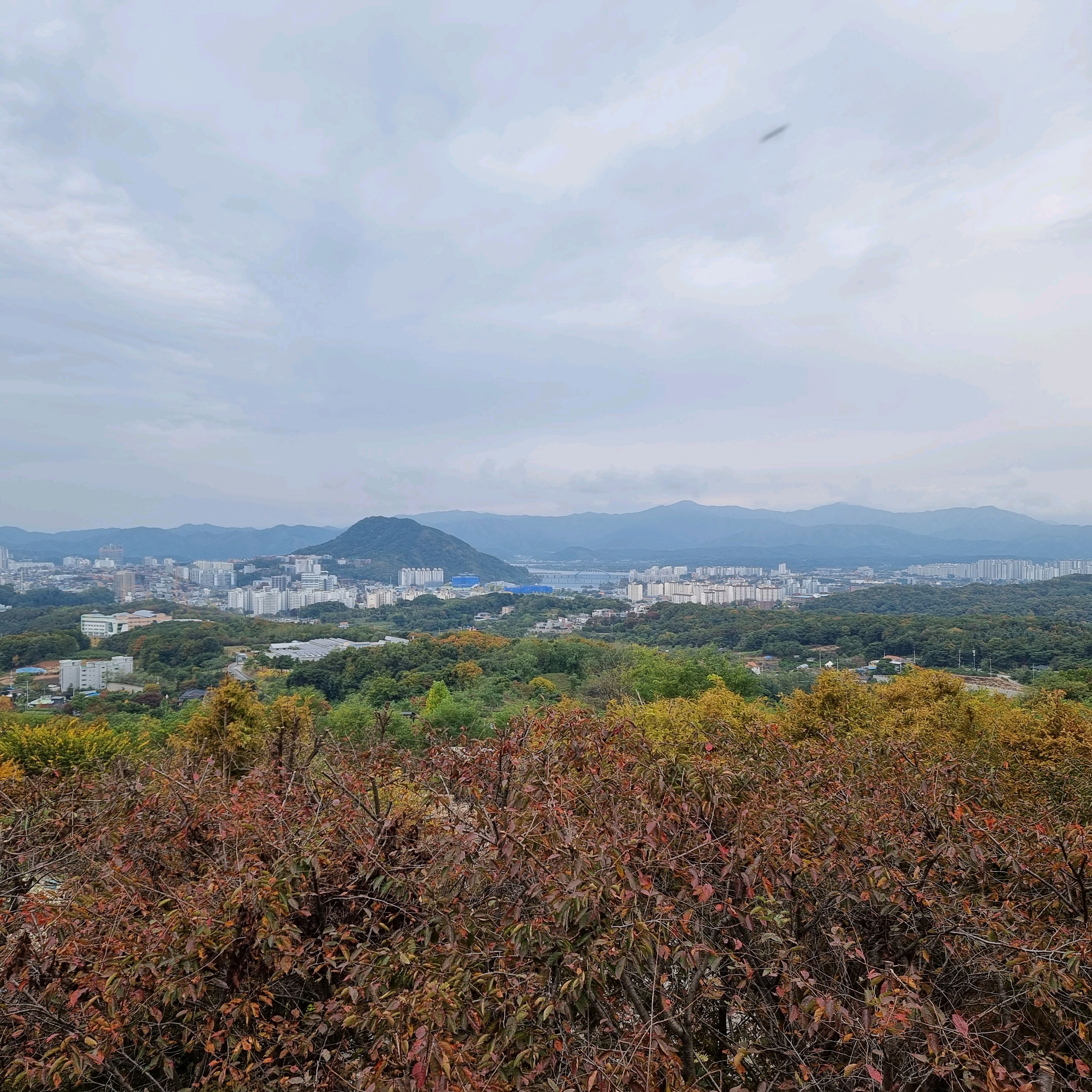 [춘천 맛집 산토리니] 직접 가본 로컬 리뷰