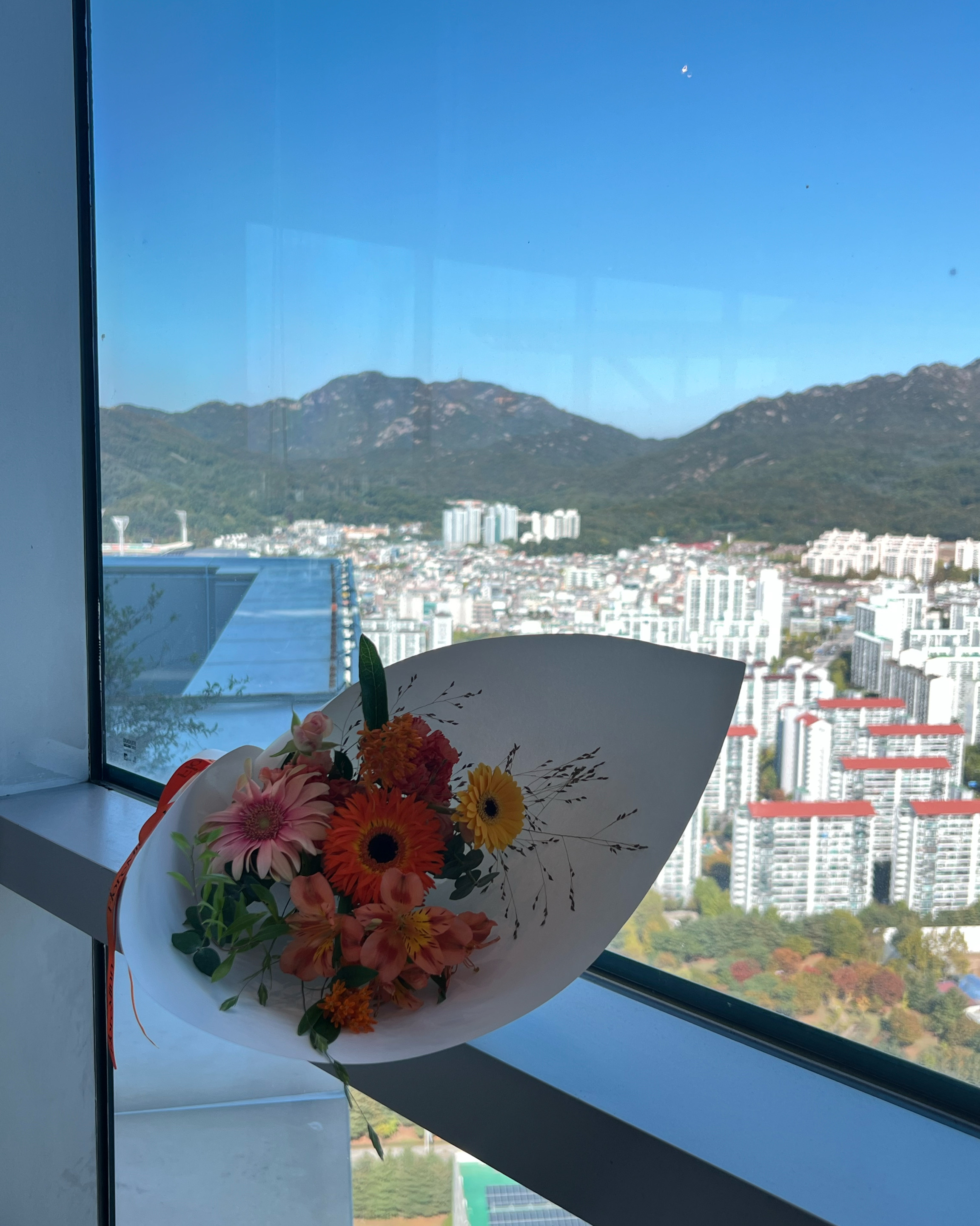 평촌역식당 산타루치아