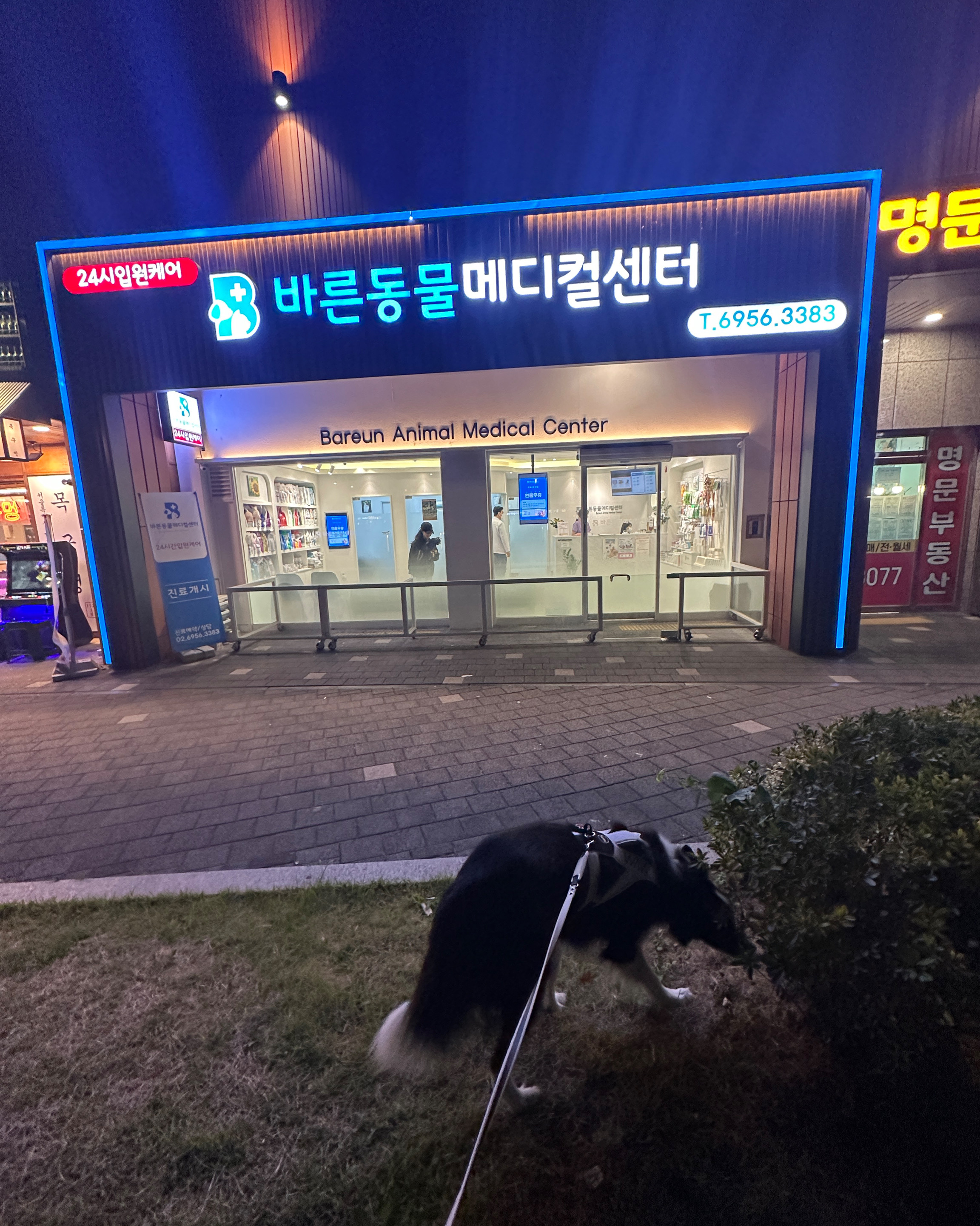 리뷰 사진 1