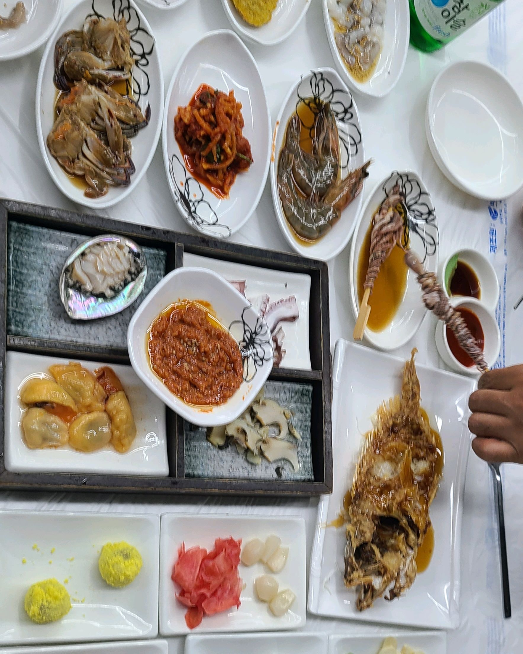 [여수 맛집 진남횟집 물회 새조개하모샤브샤브 여수돌산본점] 직접 가본 로컬 리뷰