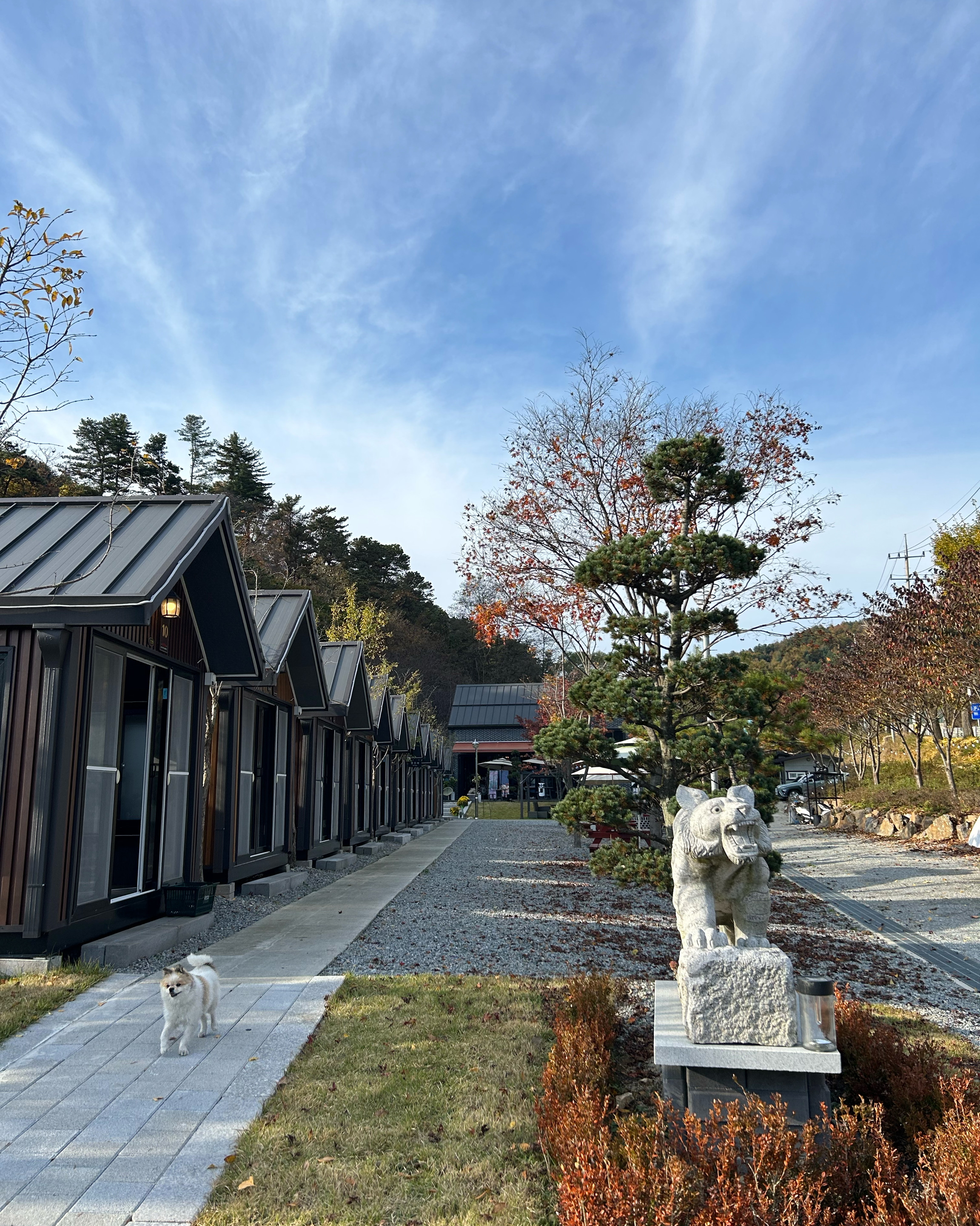 [춘천 맛집 숙성21] 직접 가본 로컬 리뷰