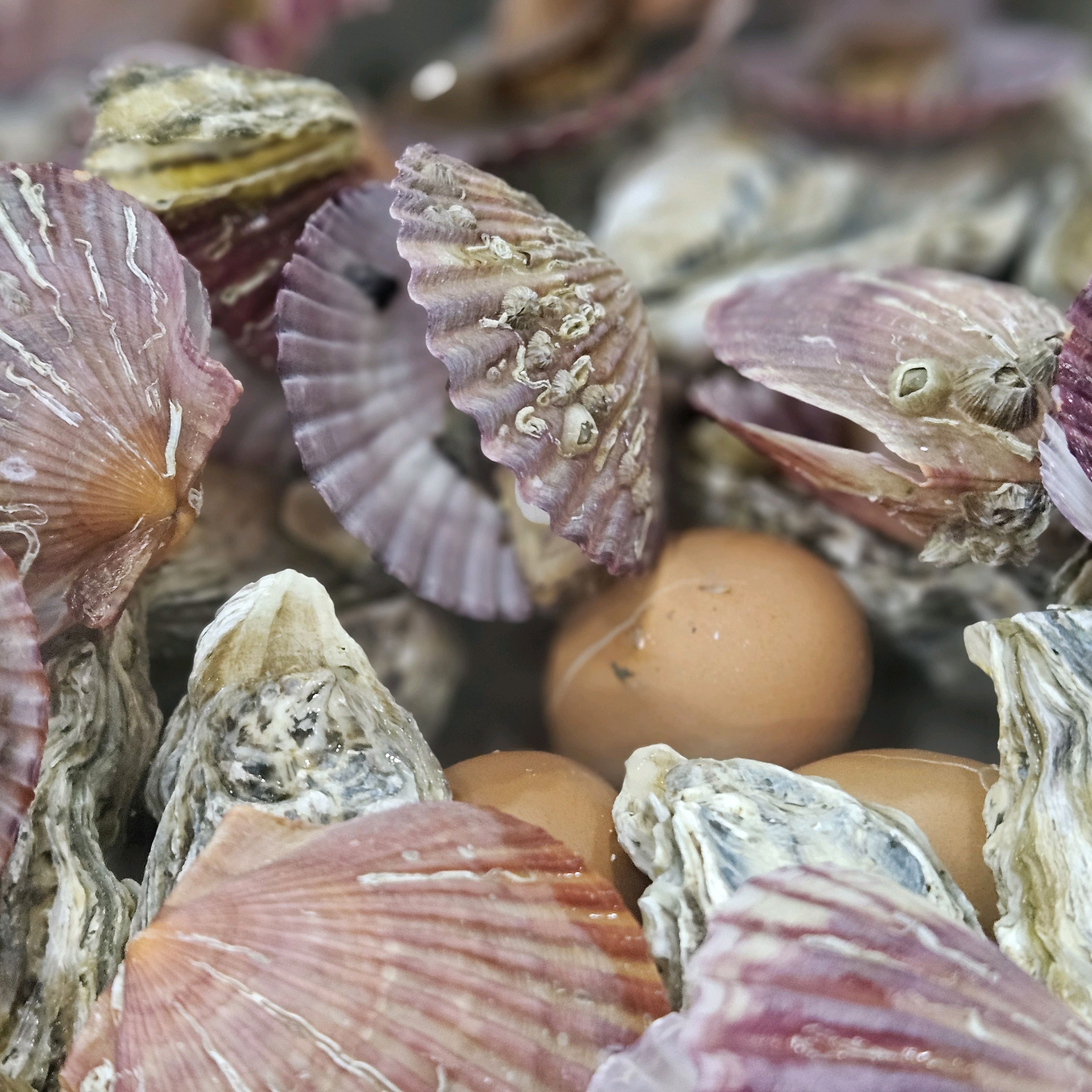 Hwagok Station Restaurant Oyster Hunt Hwagok Main Dong Branch