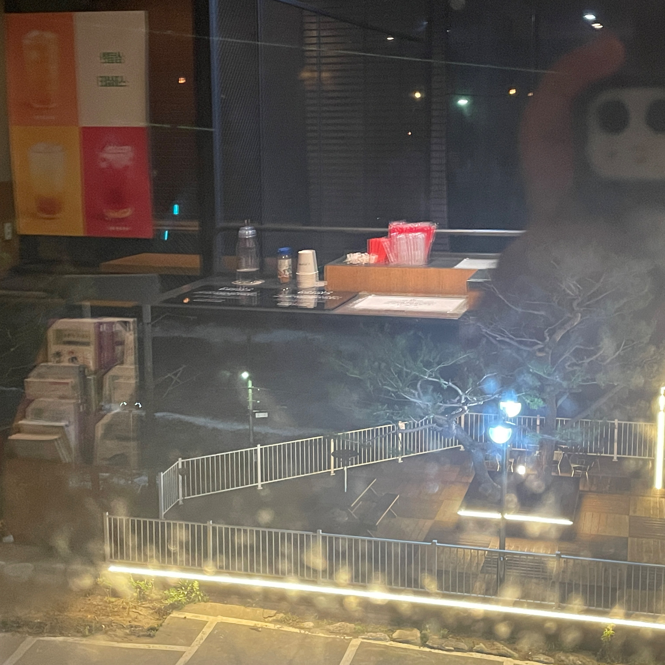 [동해 맛집 할리스 동해묵호점] 직접 가본 로컬 리뷰