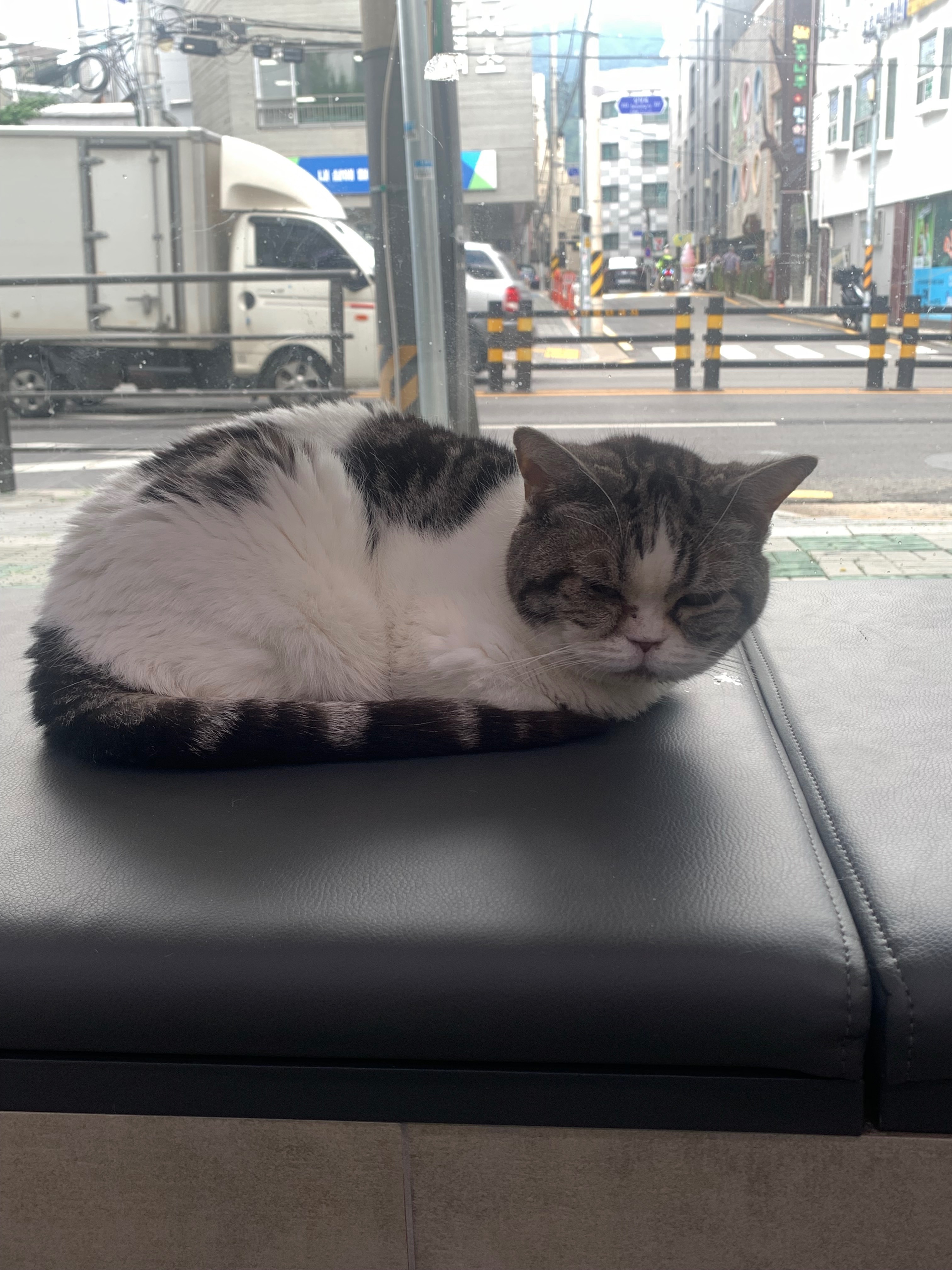 리뷰 사진 1