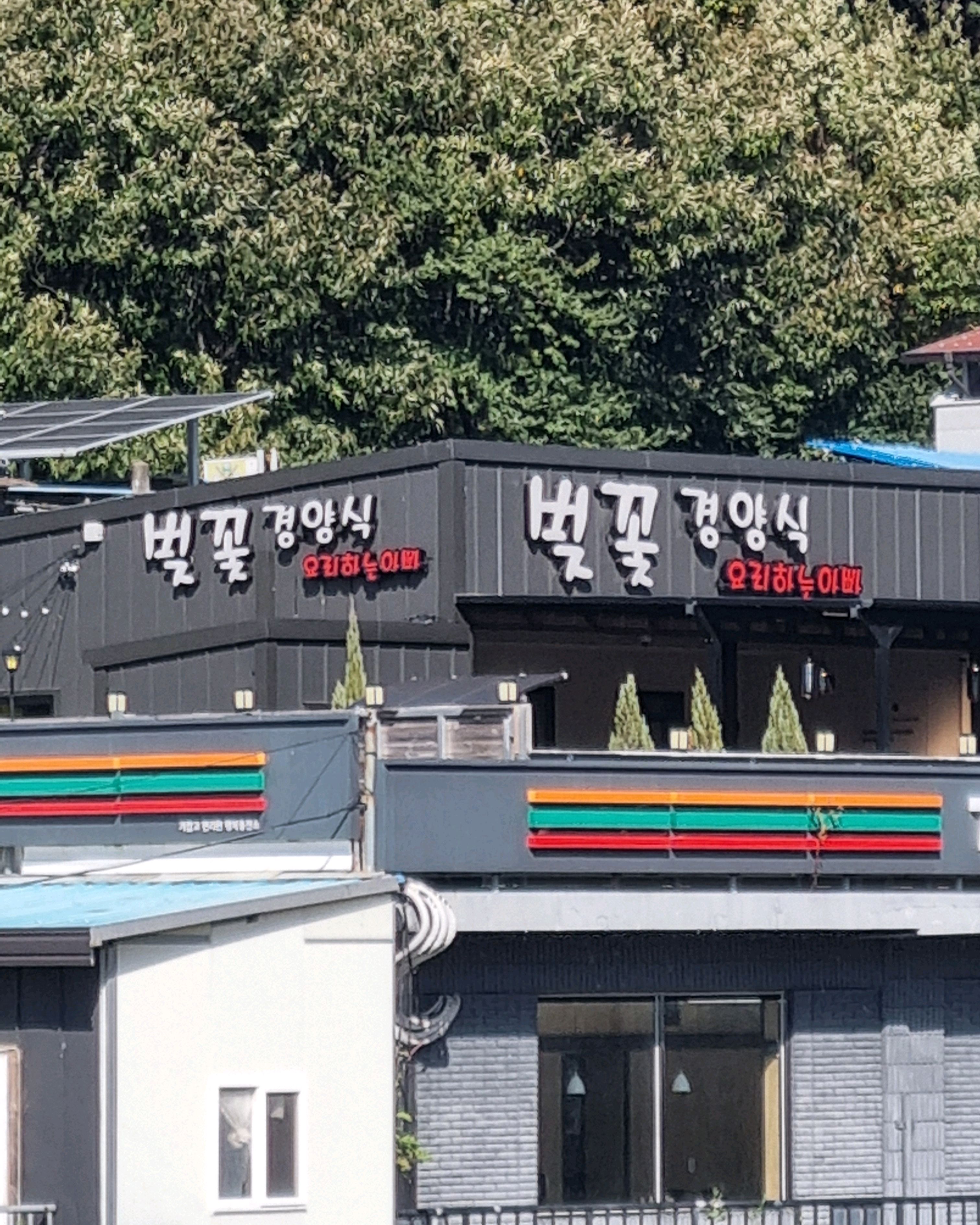 [하동 맛집 벚꽃경양식 요리하는 아빠] 직접 가본 로컬 리뷰