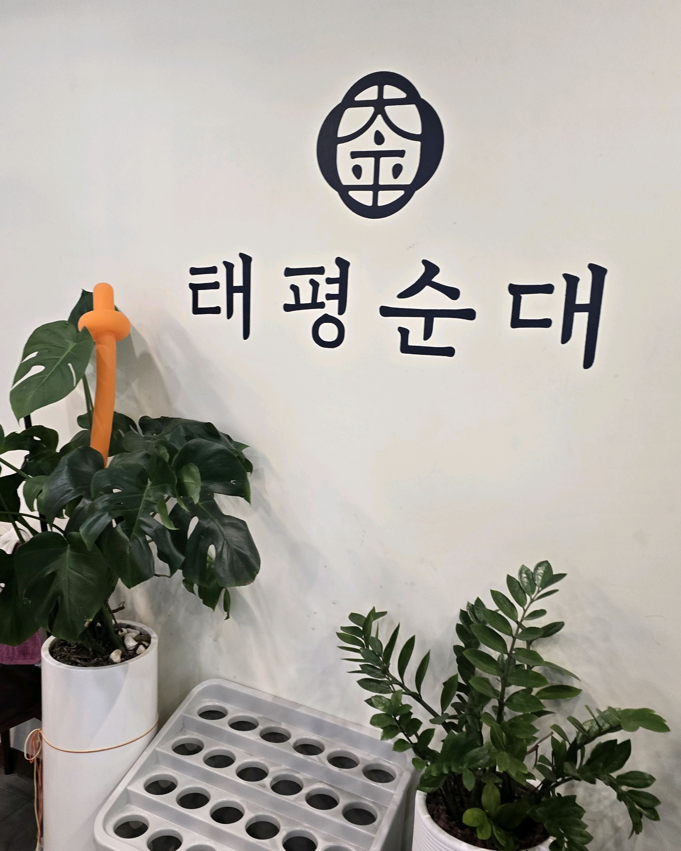 [명동 맛집 태평순대 광화문본점] 직접 가본 로컬 리뷰