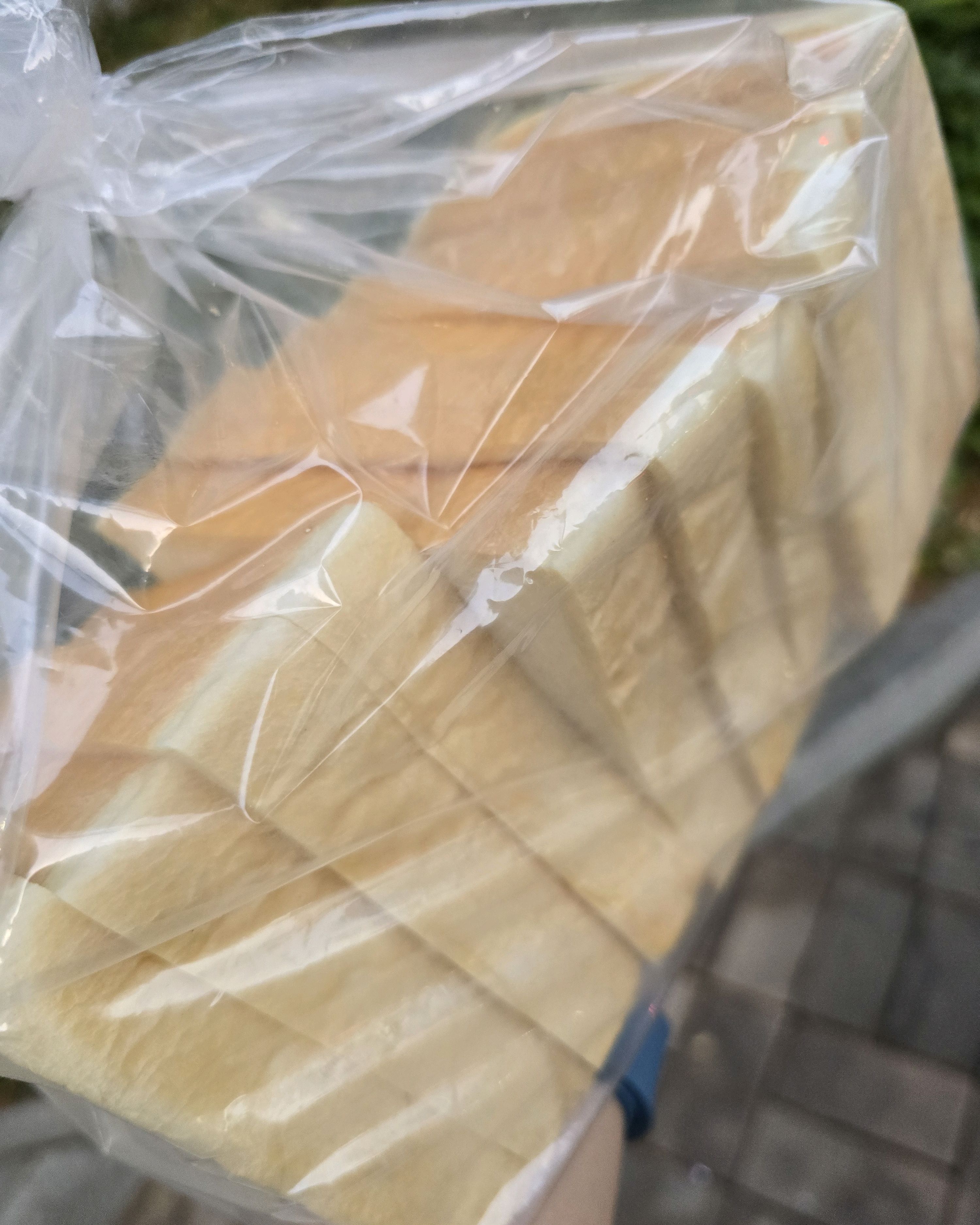 정자역 맛집 화이트리에 정자점 내돈내산 방문후기