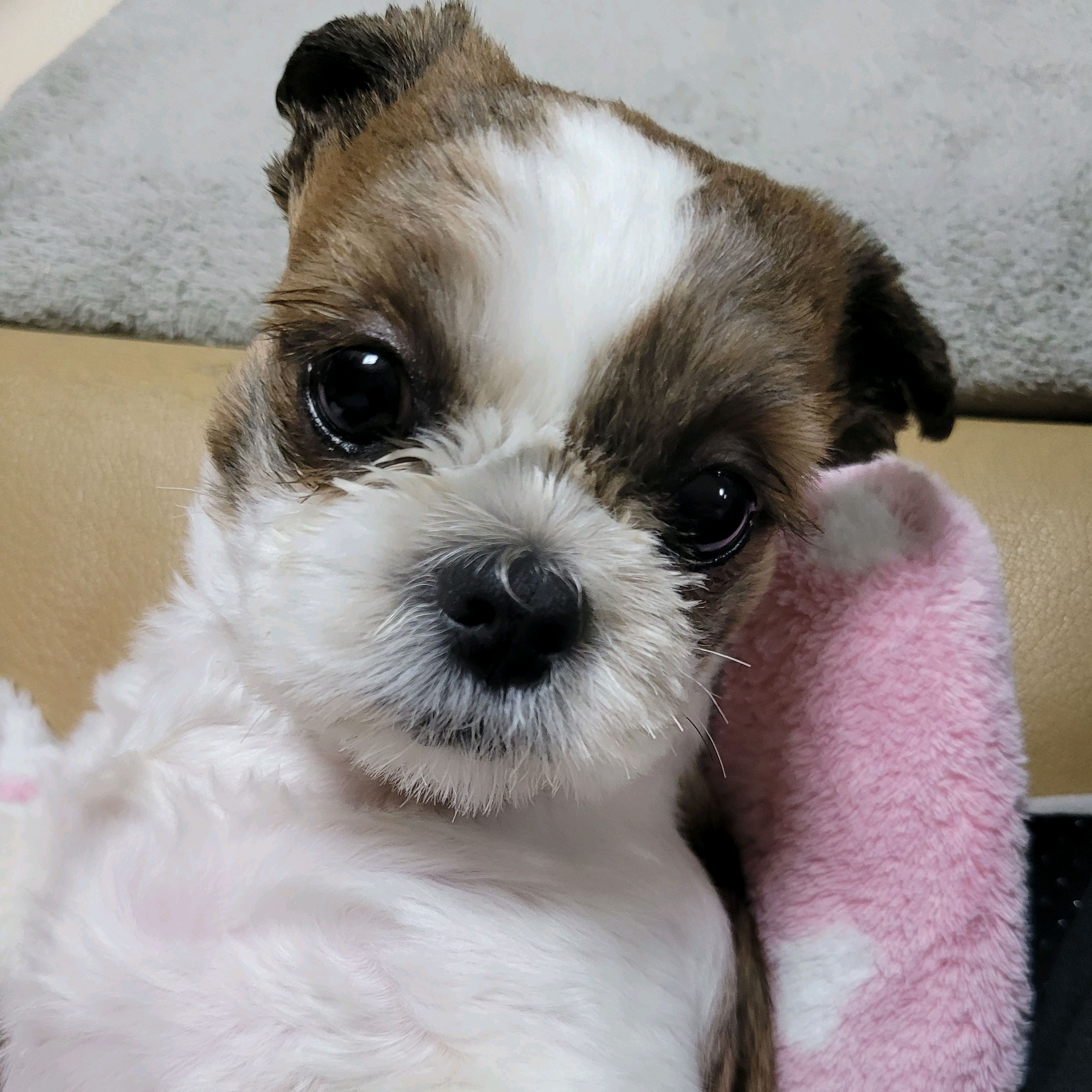 리뷰 사진 3