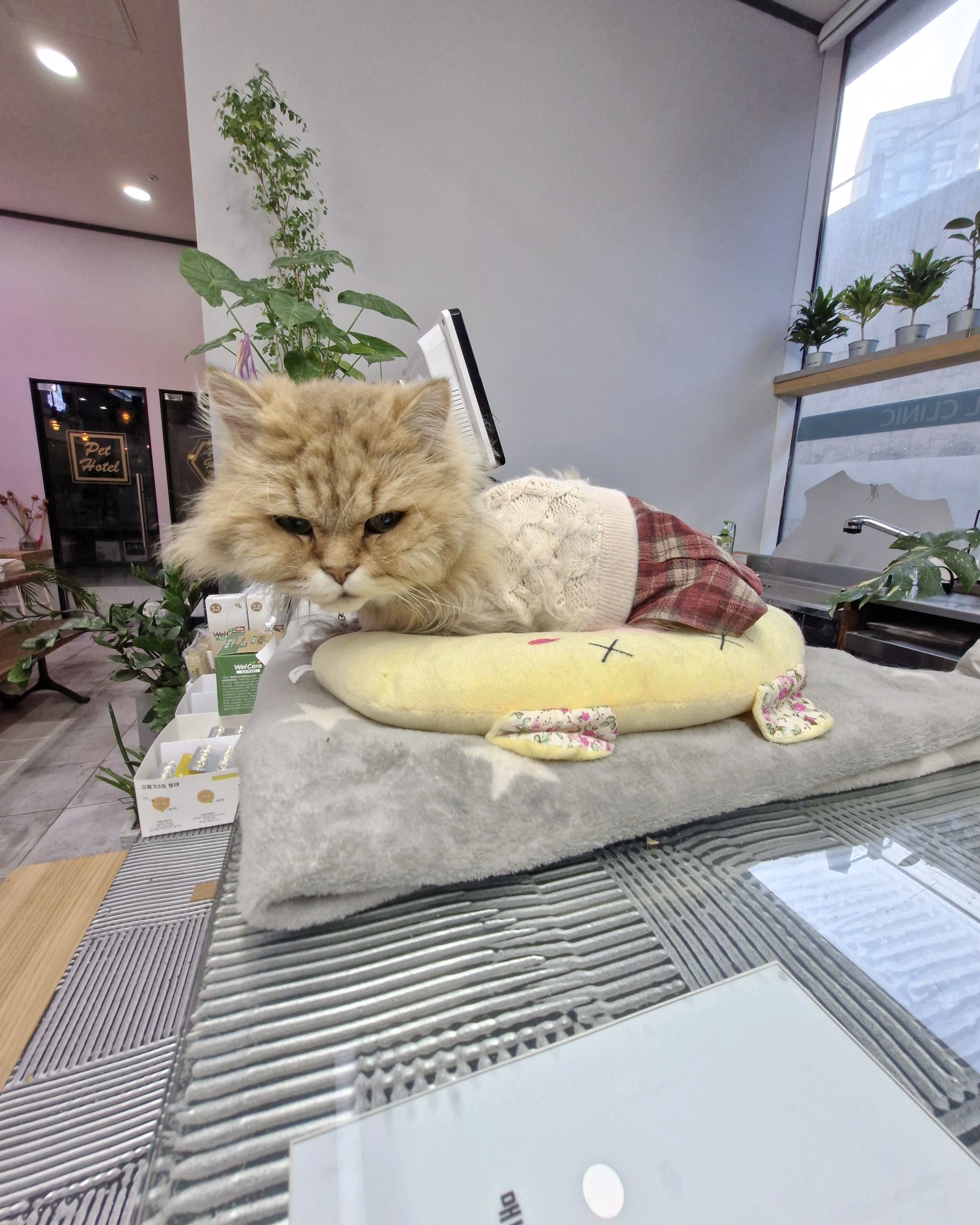 리뷰 사진 1