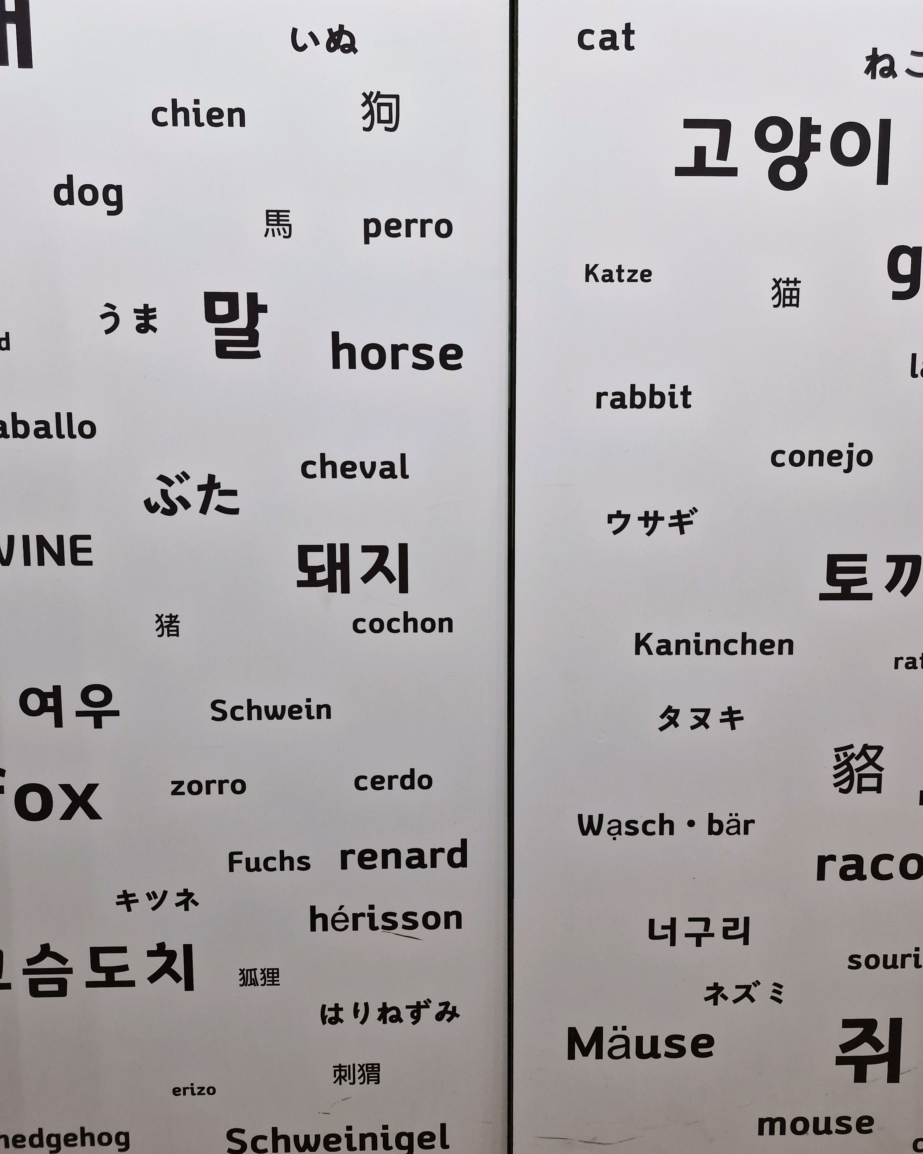 리뷰 사진 10