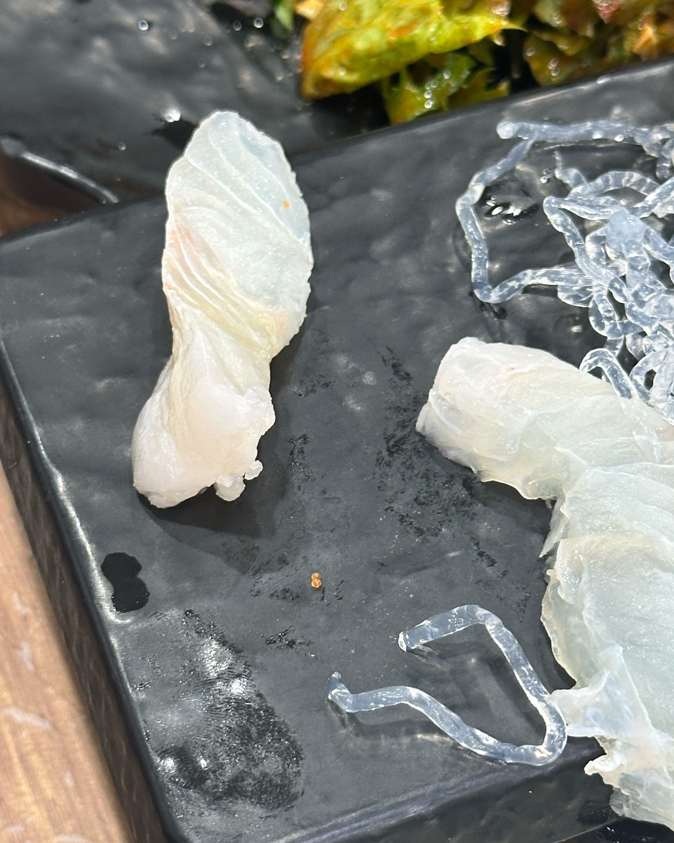 설거지를 정말 대충하시는건지.. 모든 접시들이 더러운 접시가 많았고요 - 불당동 맛집 한성막횟집 불당점