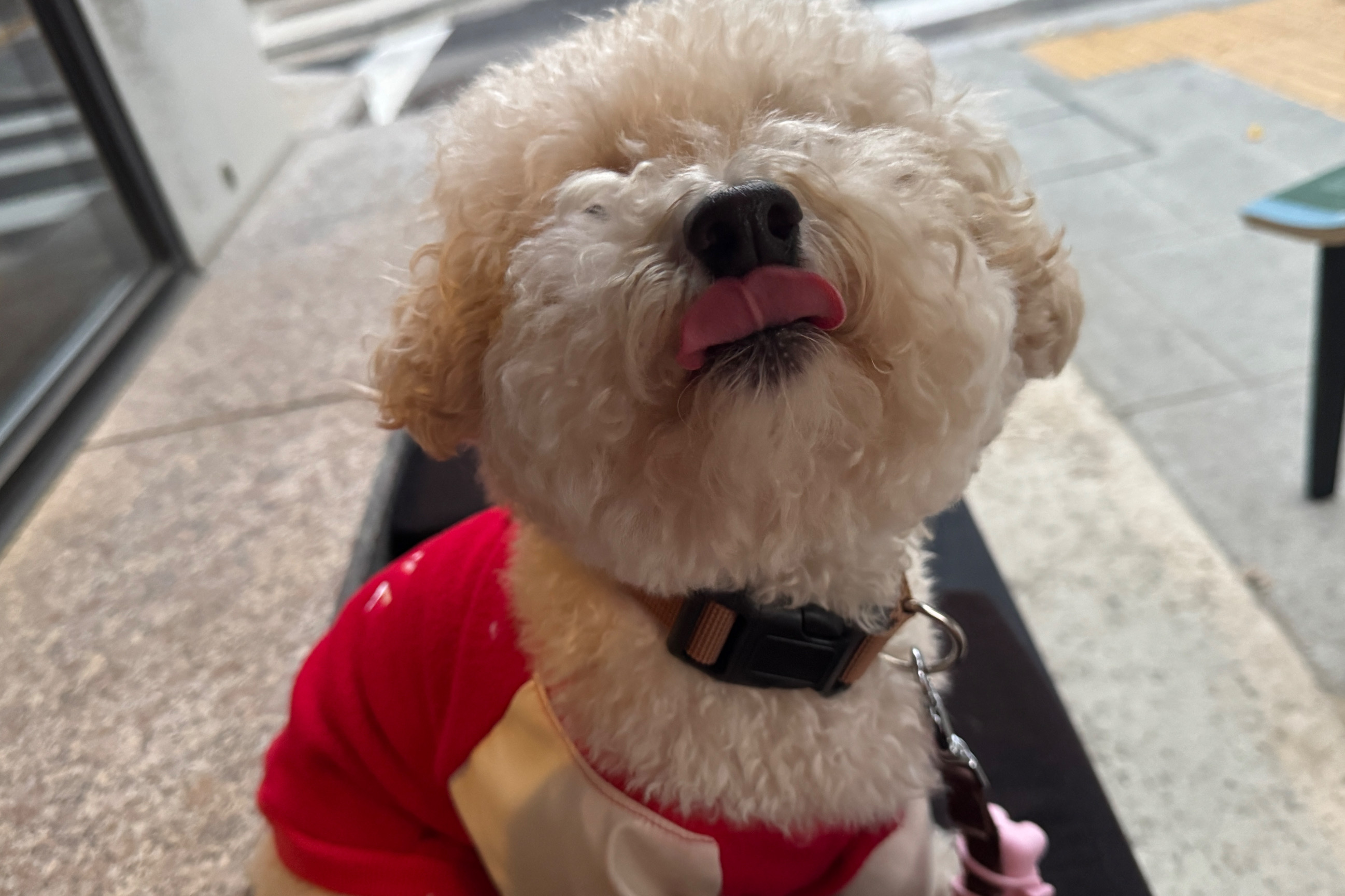  한국 서울 선릉역 주변 감성 디저트 카페 카페 세이레스