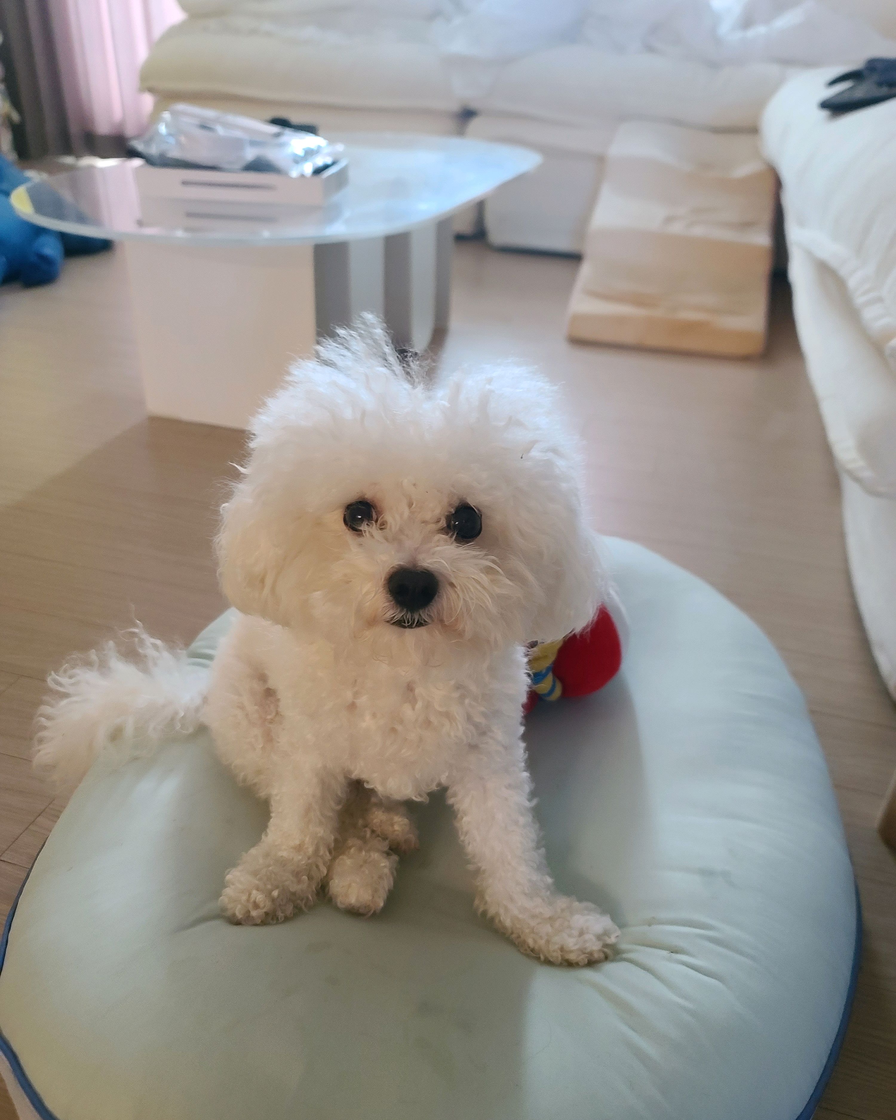리뷰 사진 1