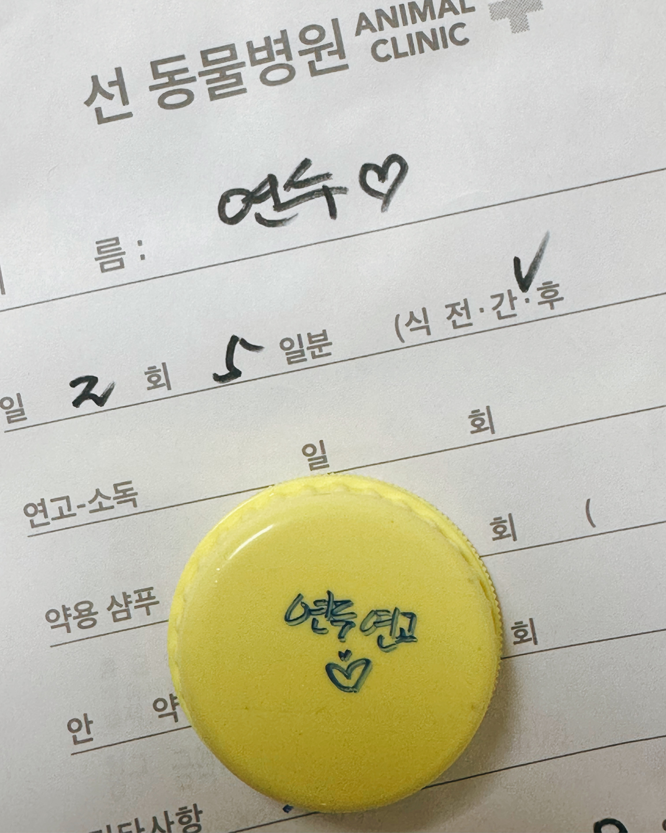 리뷰 사진 1
