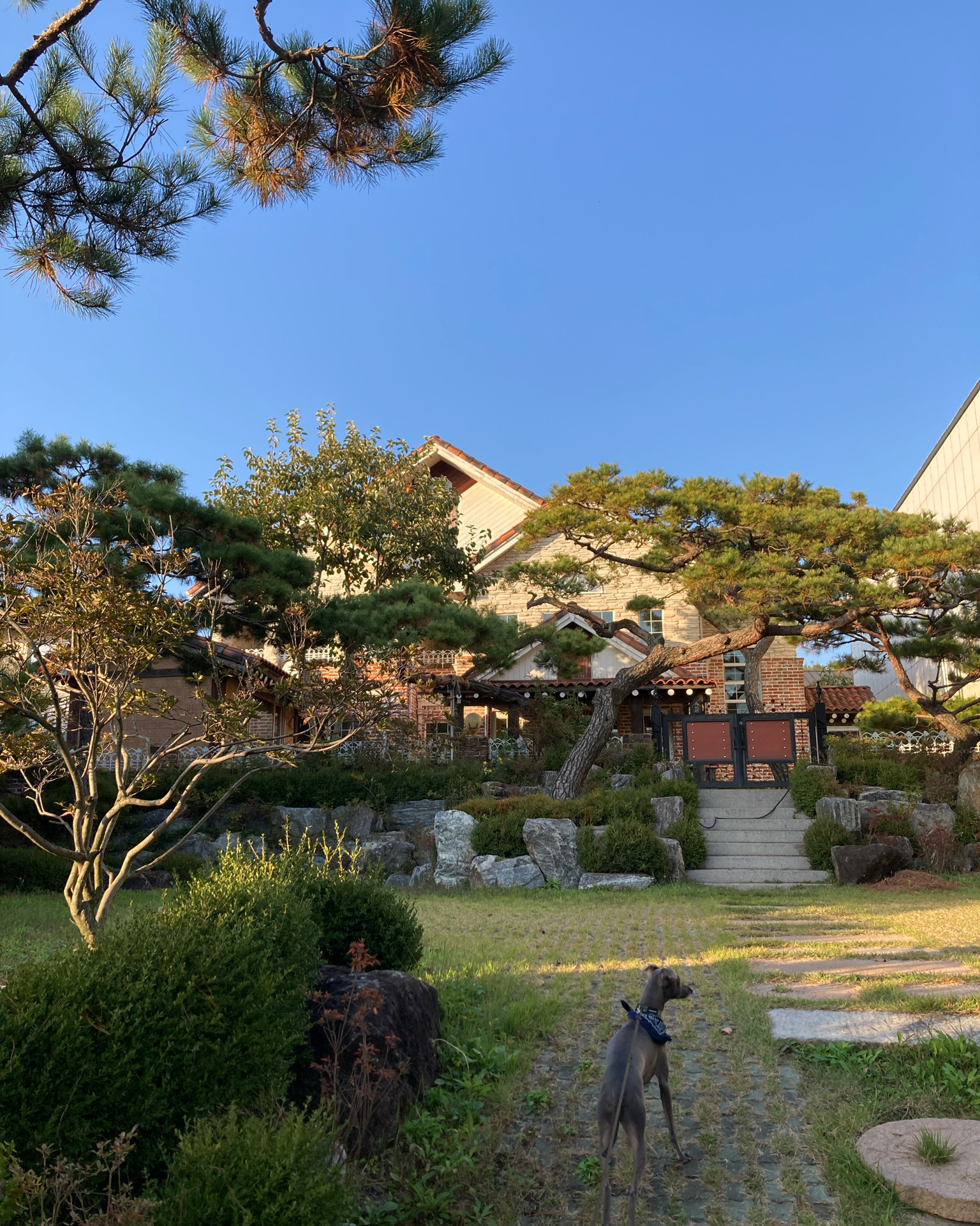 리뷰 사진 1