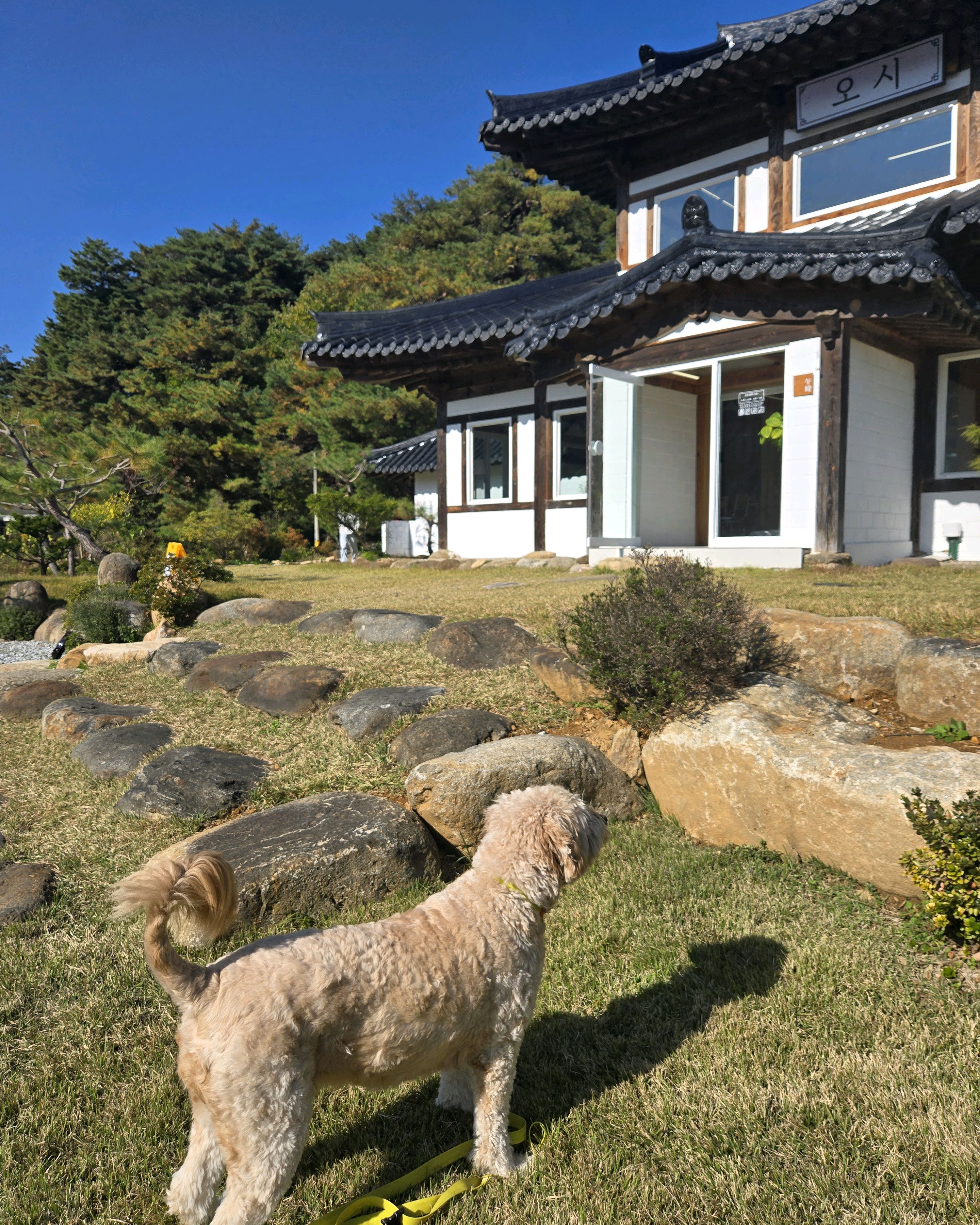 [삼척 맛집 한옥카페 오시] 직접 가본 로컬 리뷰