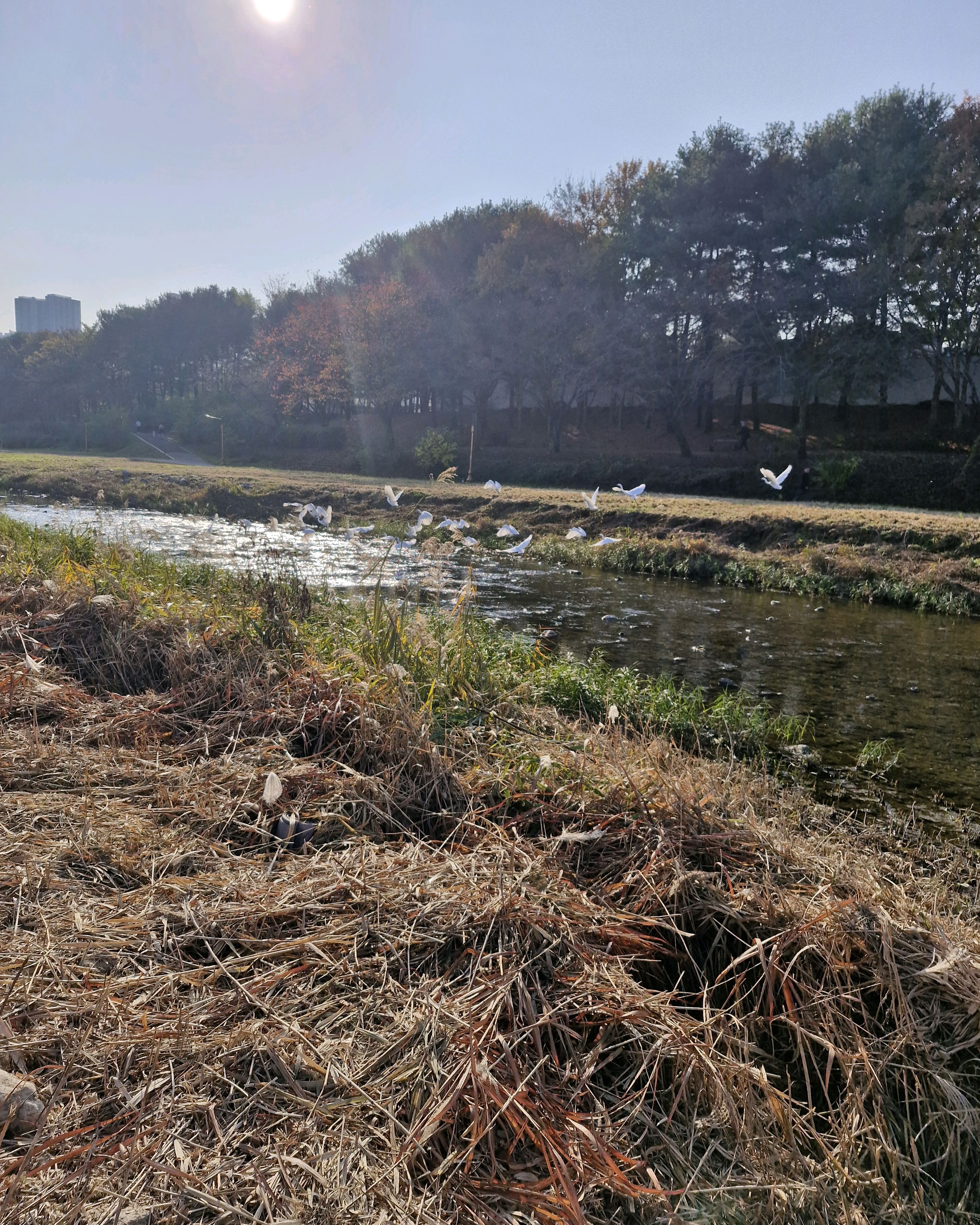 미금역 맛집 칼국수한마당 본점 내돈내산 감동리뷰