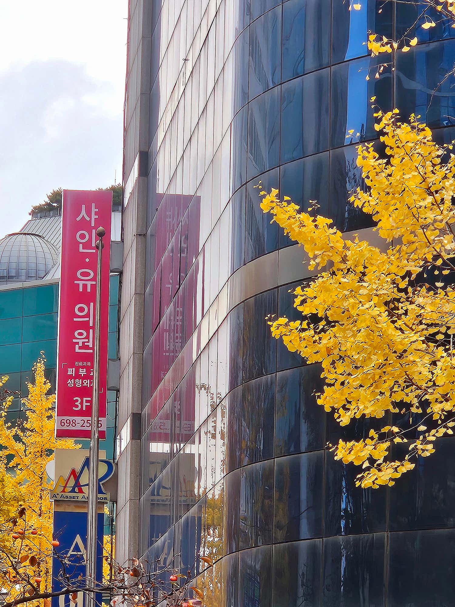 샤인유의원 분당